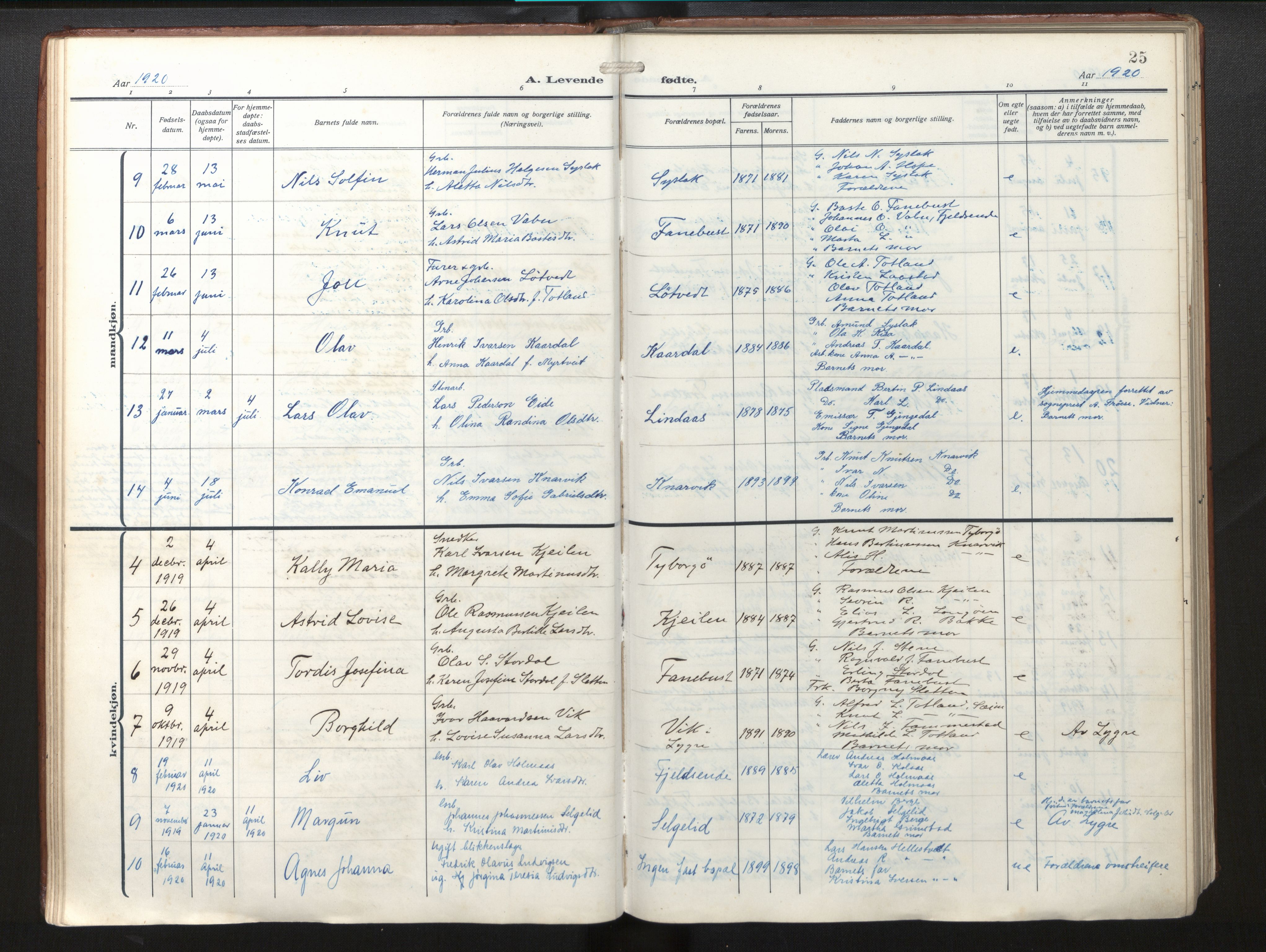 Lindås Sokneprestembete, AV/SAB-A-76701/H/Haa/Haab/L0003: Ministerialbok nr. B 3, 1912-1929, s. 25