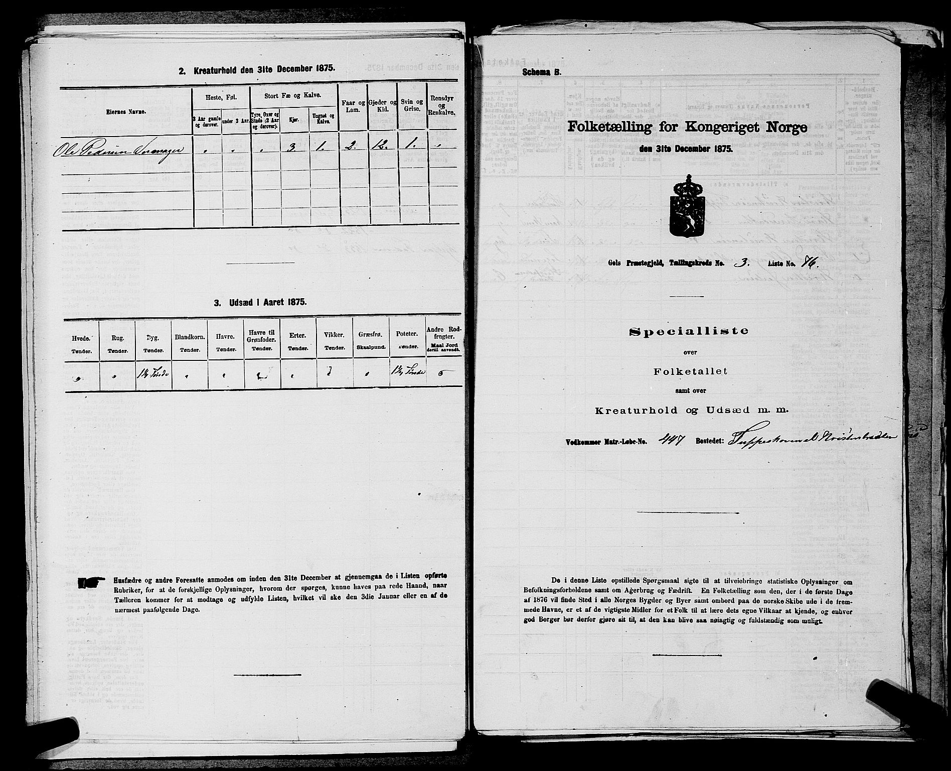 SAKO, Folketelling 1875 for 0617P Gol prestegjeld, 1875, s. 580