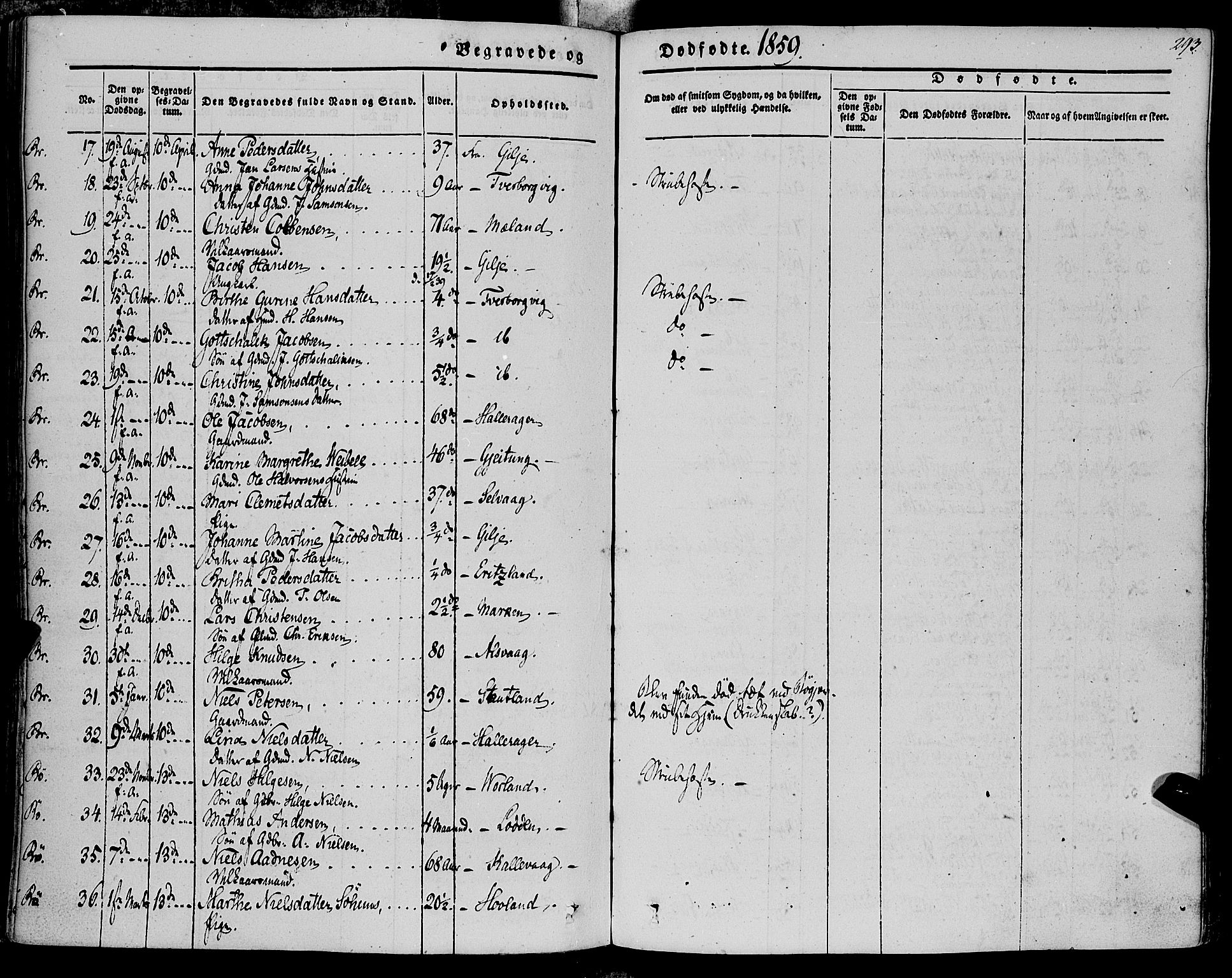 Finnås sokneprestembete, AV/SAB-A-99925/H/Ha/Haa/Haaa/L0007: Ministerialbok nr. A 7, 1850-1862, s. 293