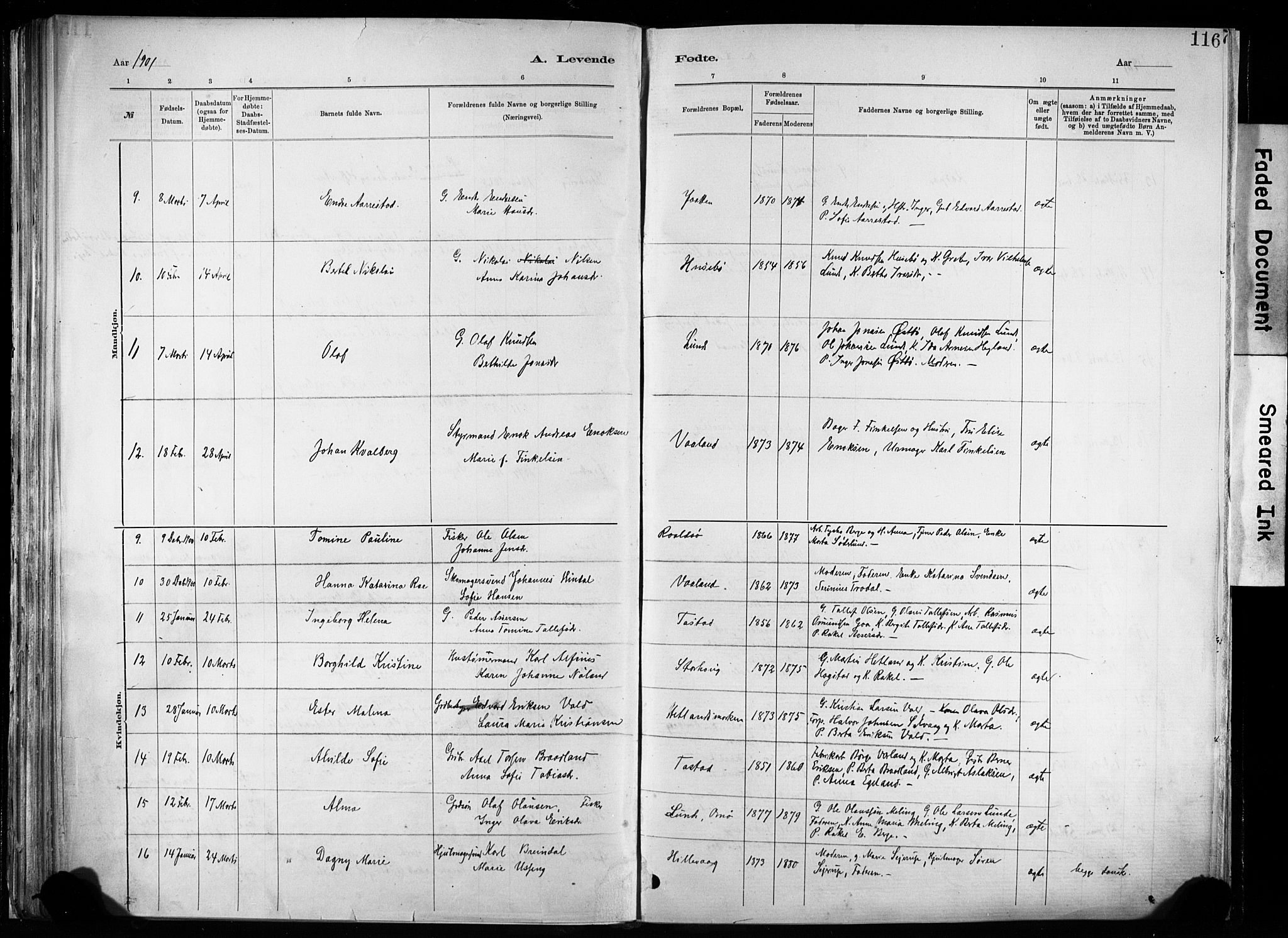 Hetland sokneprestkontor, AV/SAST-A-101826/30/30BA/L0011: Ministerialbok nr. A 11, 1884-1911, s. 116