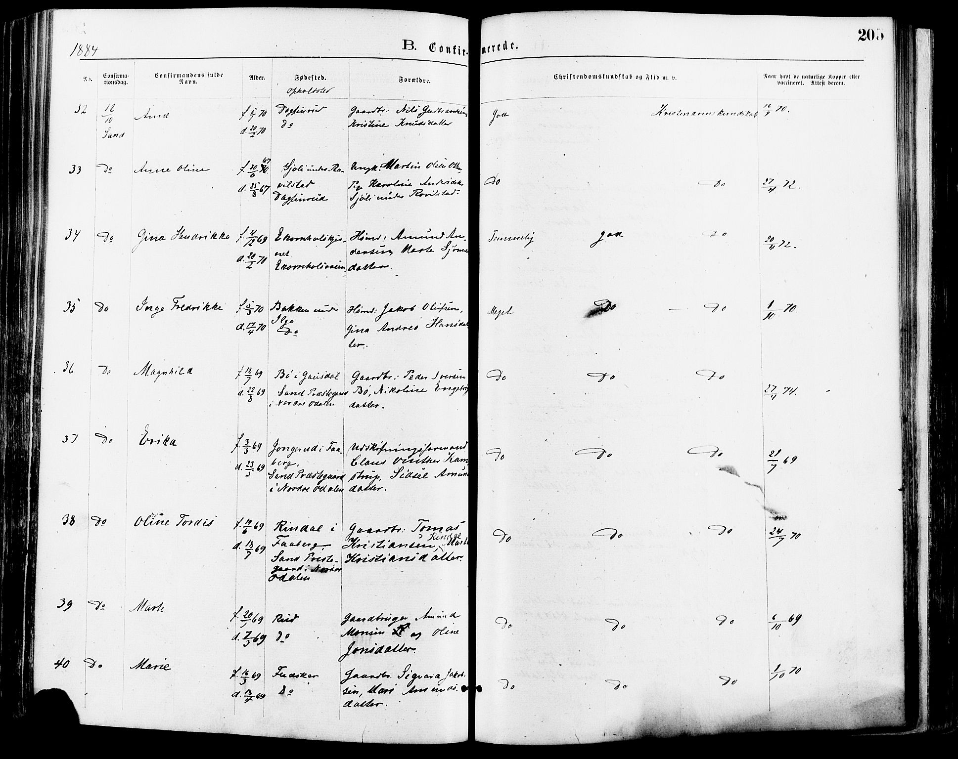 Nord-Odal prestekontor, AV/SAH-PREST-032/H/Ha/Haa/L0005: Ministerialbok nr. 5, 1874-1885, s. 205