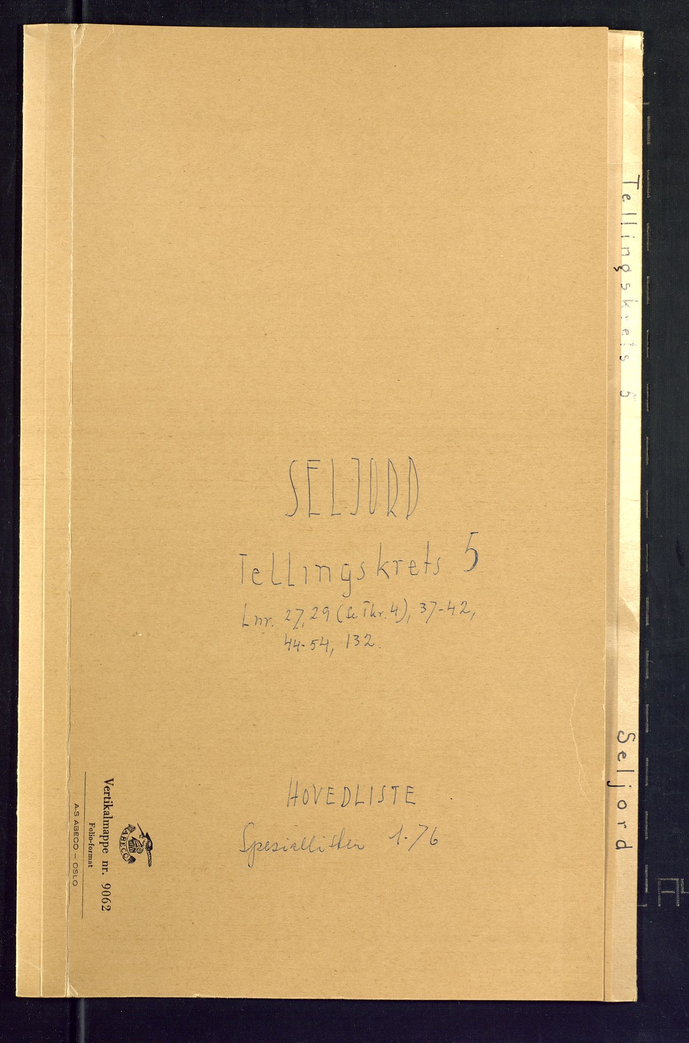 SAKO, Folketelling 1875 for 0828P Seljord prestegjeld, 1875, s. 17