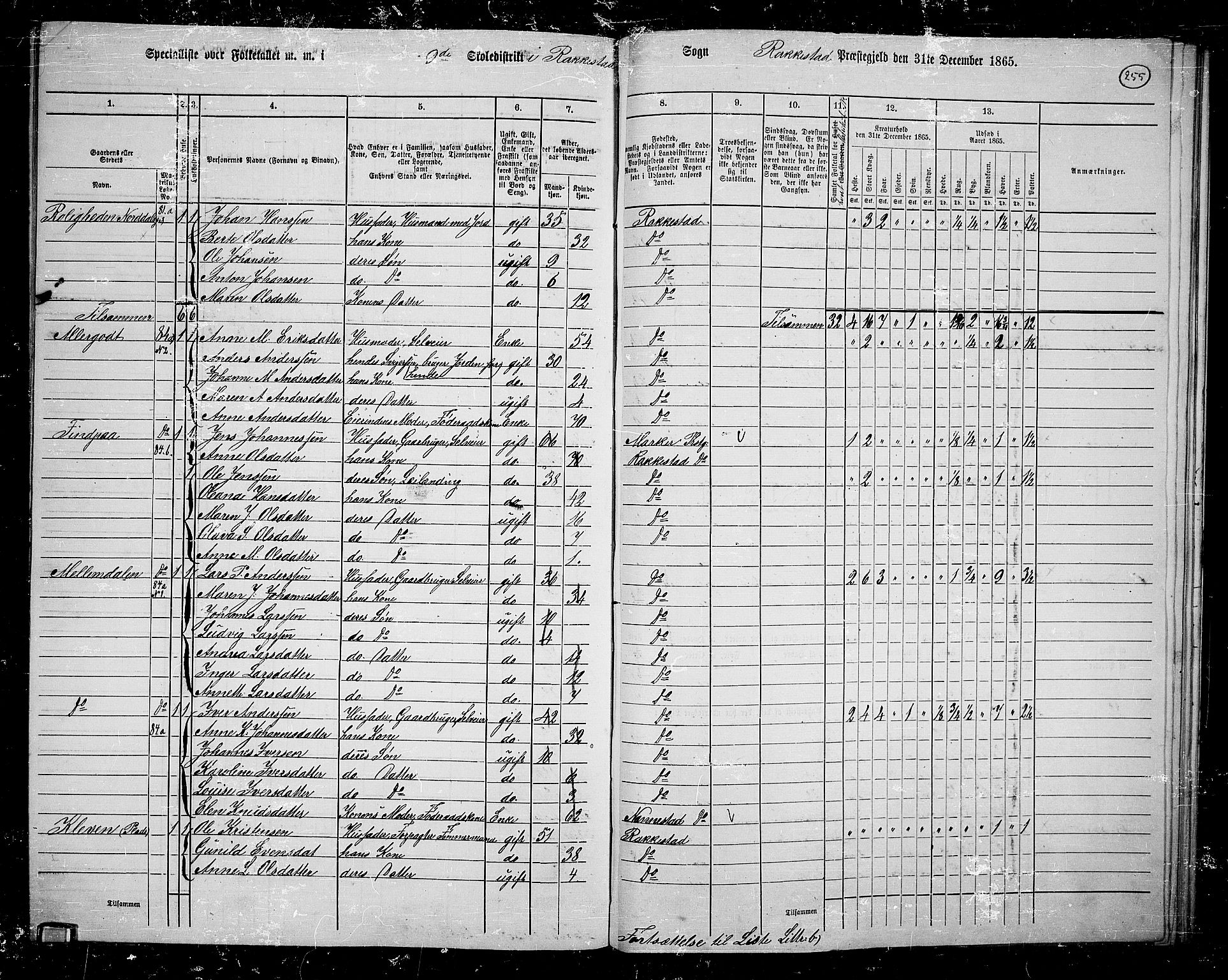 RA, Folketelling 1865 for 0128P Rakkestad prestegjeld, 1865, s. 244