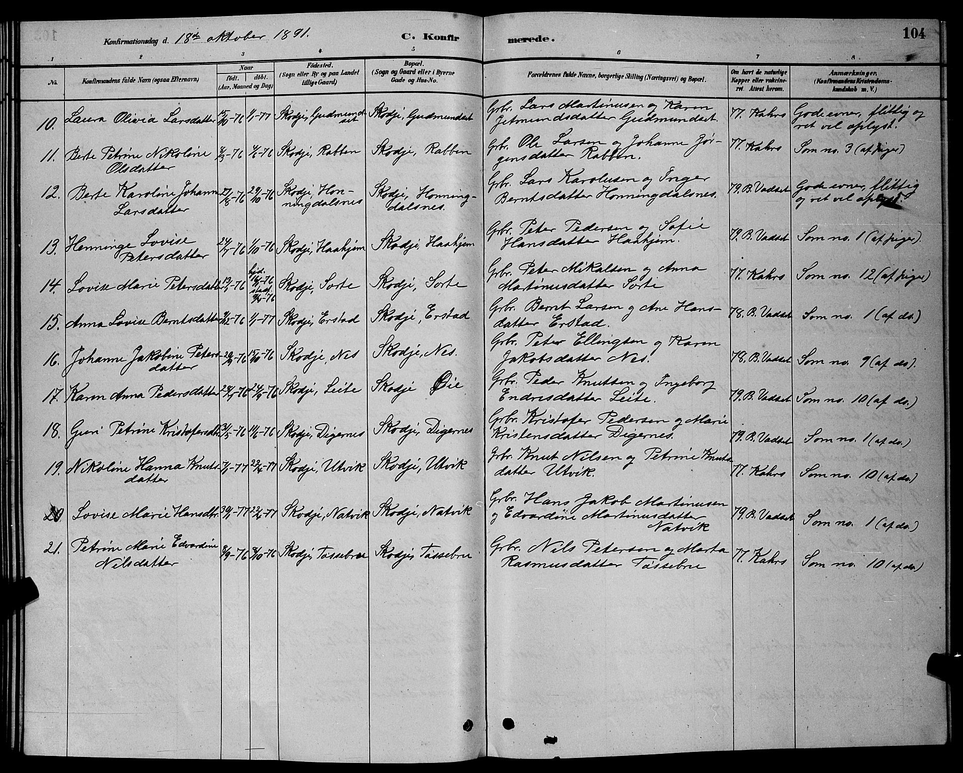 Ministerialprotokoller, klokkerbøker og fødselsregistre - Møre og Romsdal, AV/SAT-A-1454/524/L0365: Klokkerbok nr. 524C06, 1880-1899, s. 104