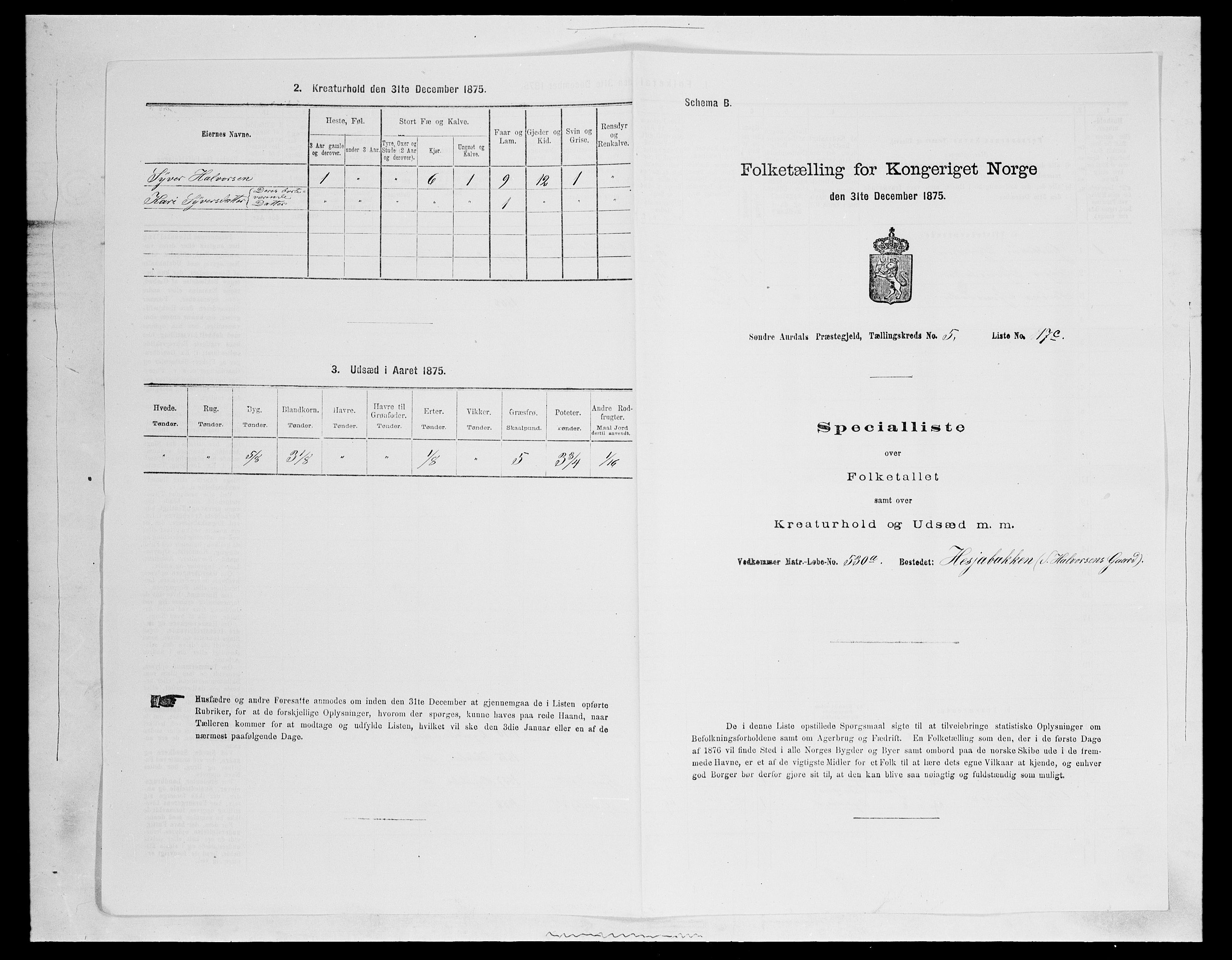 SAH, Folketelling 1875 for 0540P Sør-Aurdal prestegjeld, 1875, s. 979