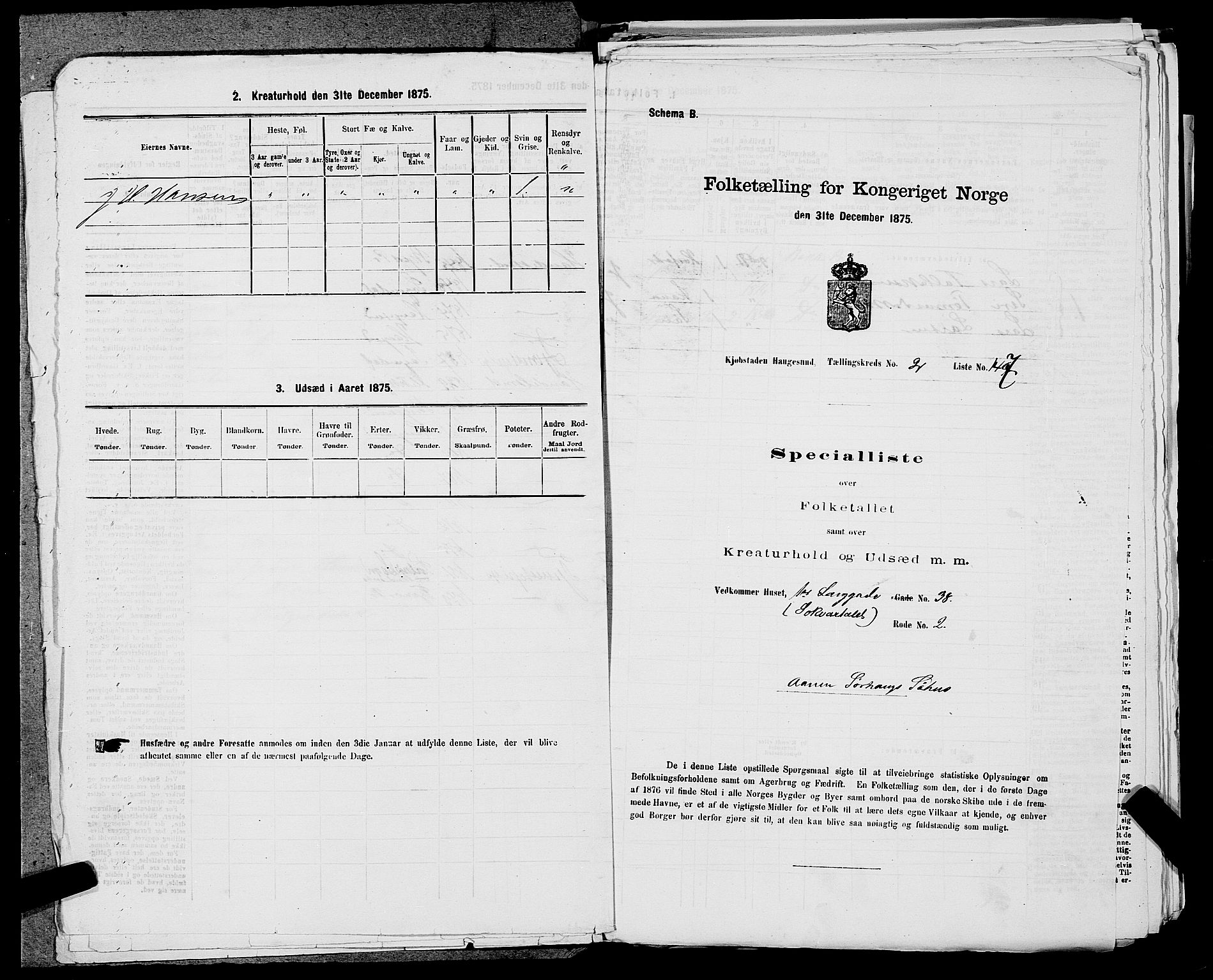 SAST, Folketelling 1875 for 1106B Torvastad prestegjeld, Haugesund kjøpstad, 1875, s. 343