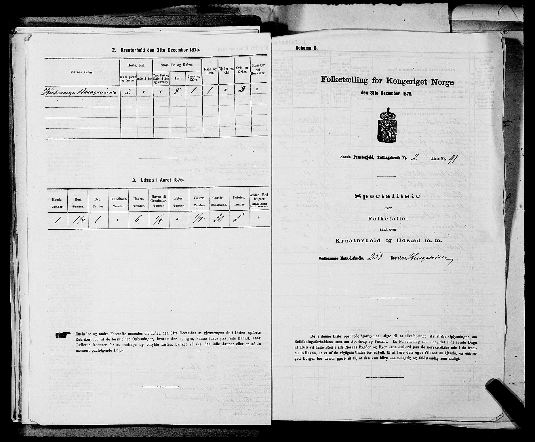 SAKO, Folketelling 1875 for 0713P Sande prestegjeld, 1875, s. 460