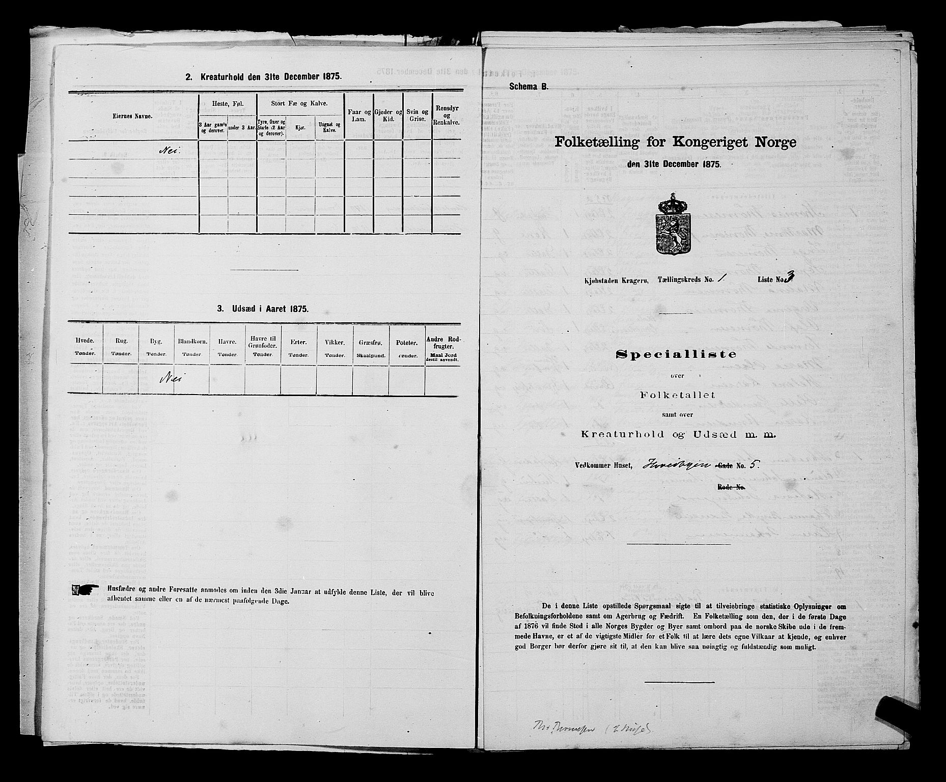 SAKO, Folketelling 1875 for 0801P Kragerø prestegjeld, 1875, s. 30