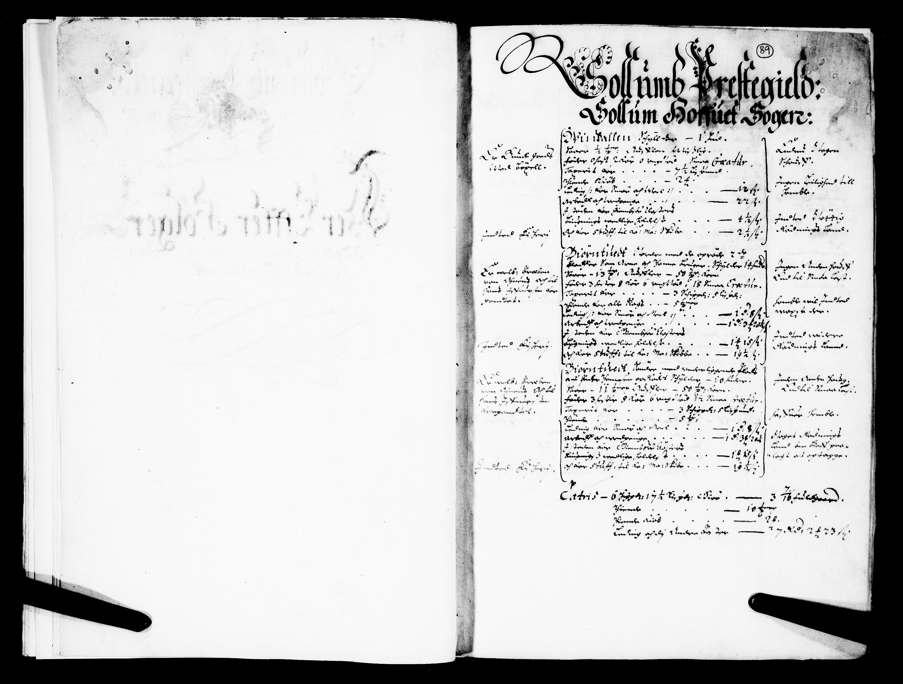 Rentekammeret inntil 1814, Realistisk ordnet avdeling, AV/RA-EA-4070/N/Nb/Nba/L0026: Nedre og Øvre Telemark fogderi, 1667, s. 88b-89a