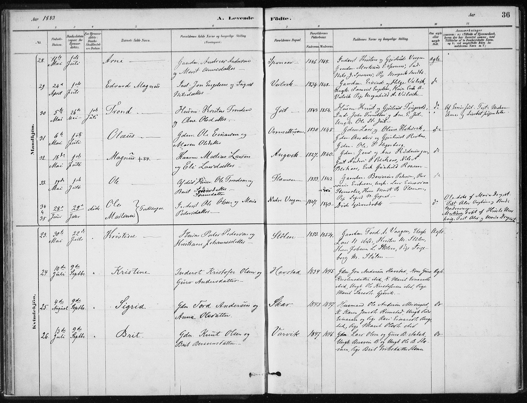 Ministerialprotokoller, klokkerbøker og fødselsregistre - Møre og Romsdal, AV/SAT-A-1454/586/L0987: Ministerialbok nr. 586A13, 1879-1892, s. 36