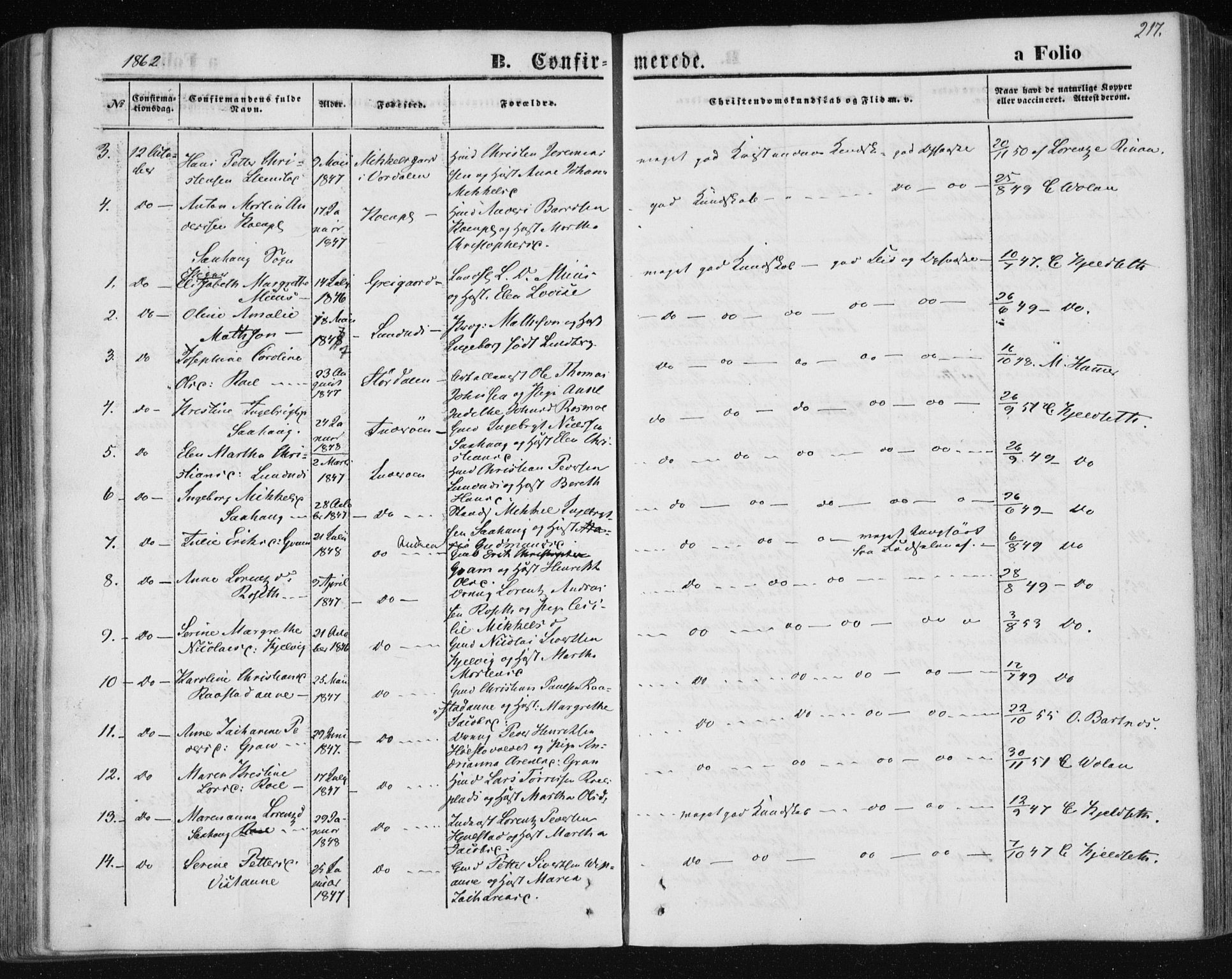 Ministerialprotokoller, klokkerbøker og fødselsregistre - Nord-Trøndelag, AV/SAT-A-1458/730/L0283: Ministerialbok nr. 730A08, 1855-1865, s. 217