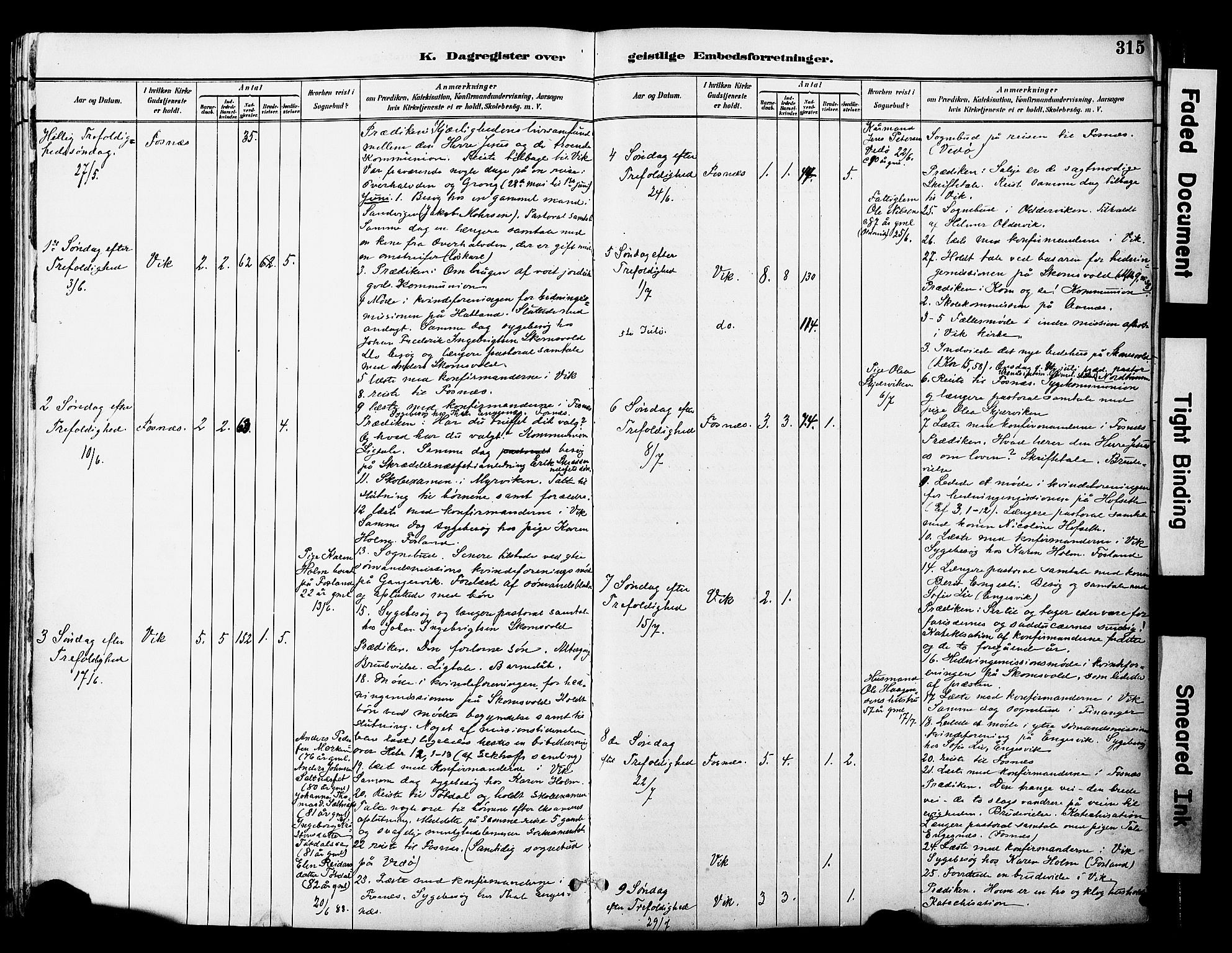 Ministerialprotokoller, klokkerbøker og fødselsregistre - Nord-Trøndelag, AV/SAT-A-1458/774/L0628: Ministerialbok nr. 774A02, 1887-1903, s. 315