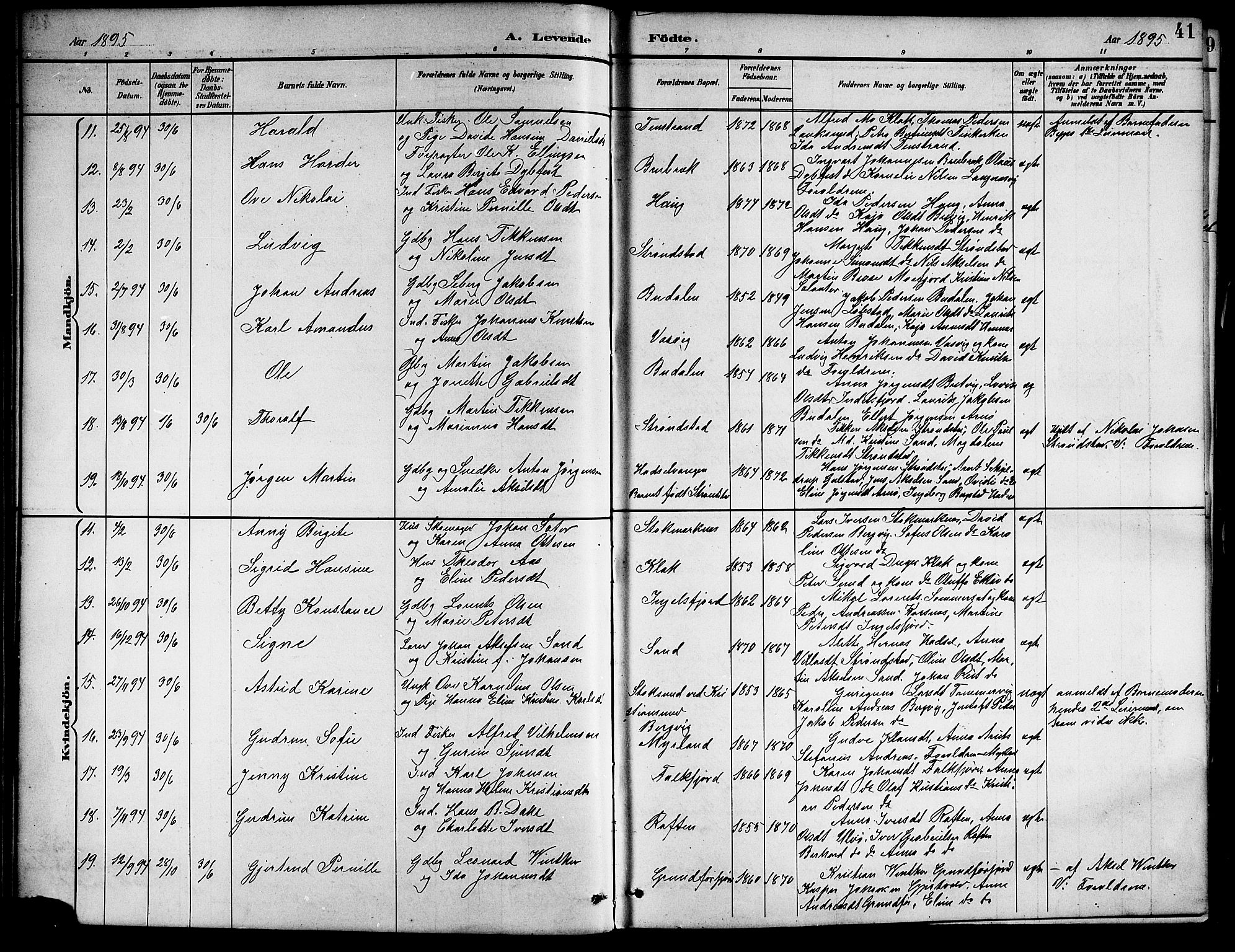 Ministerialprotokoller, klokkerbøker og fødselsregistre - Nordland, AV/SAT-A-1459/888/L1268: Klokkerbok nr. 888C06, 1891-1908, s. 41