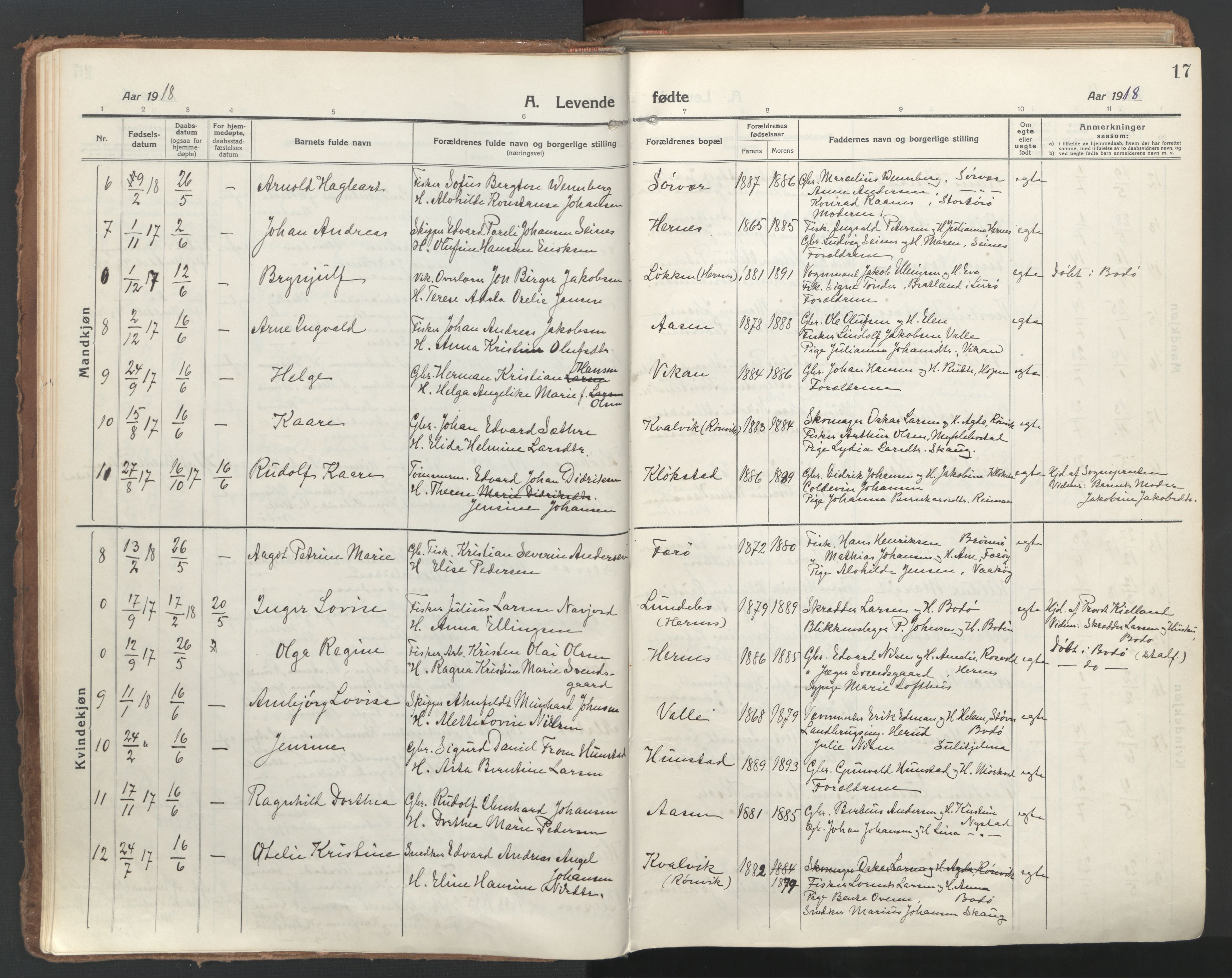 Ministerialprotokoller, klokkerbøker og fødselsregistre - Nordland, AV/SAT-A-1459/802/L0060: Ministerialbok nr. 802A07, 1916-1933, s. 17