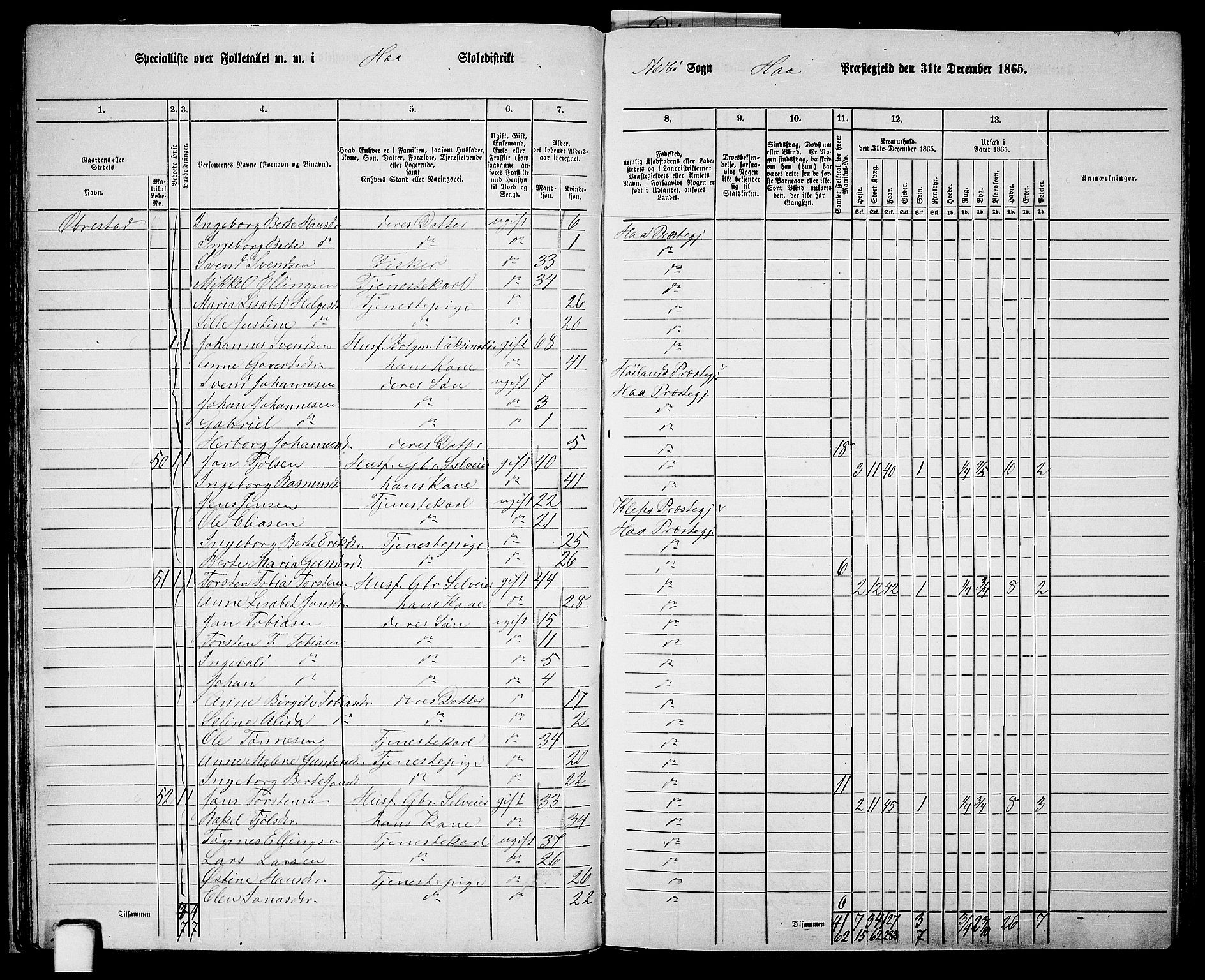 RA, Folketelling 1865 for 1119P Hå prestegjeld, 1865, s. 37