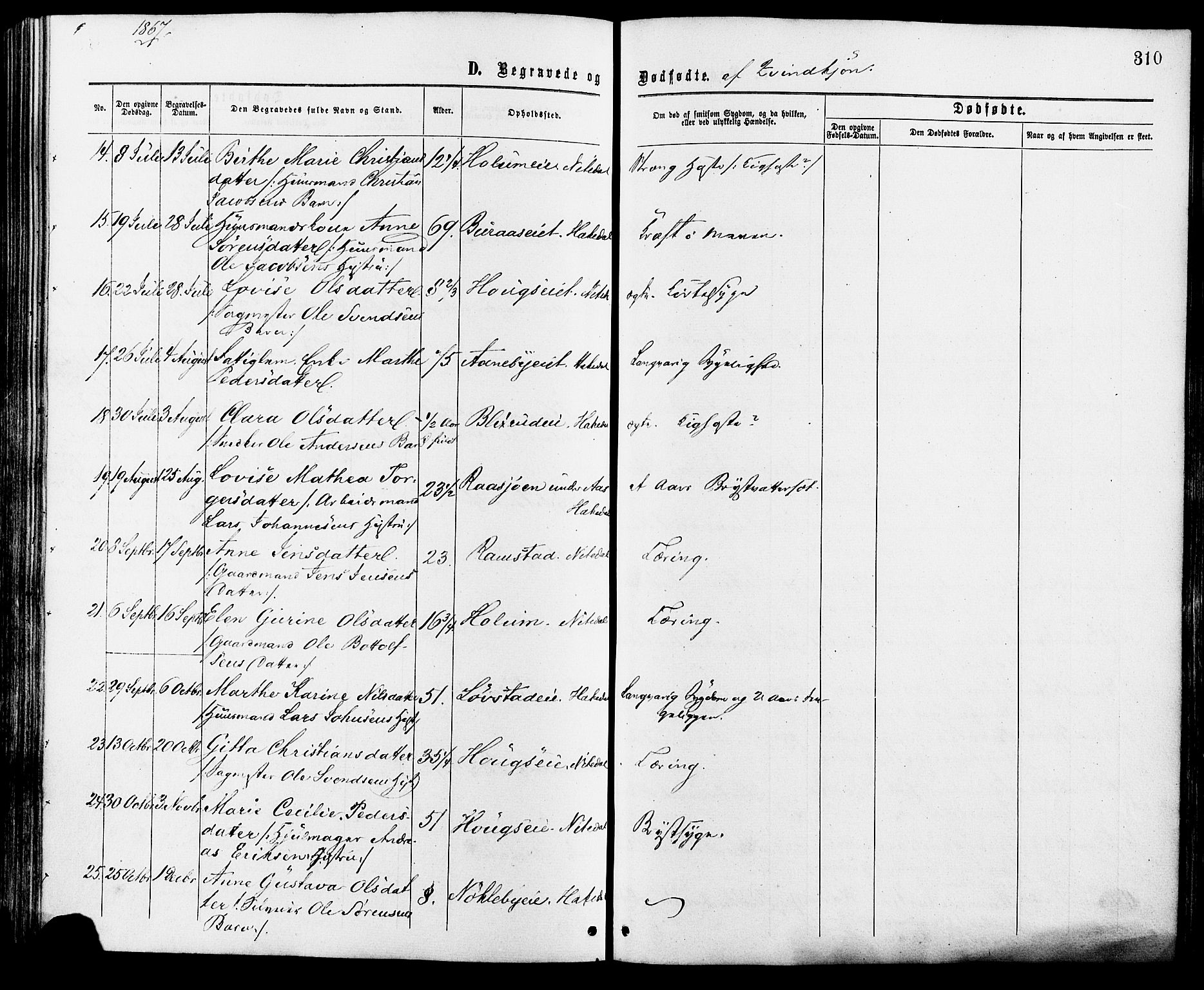 Nittedal prestekontor Kirkebøker, AV/SAO-A-10365a/F/Fa/L0006: Ministerialbok nr. I 6, 1863-1878, s. 310