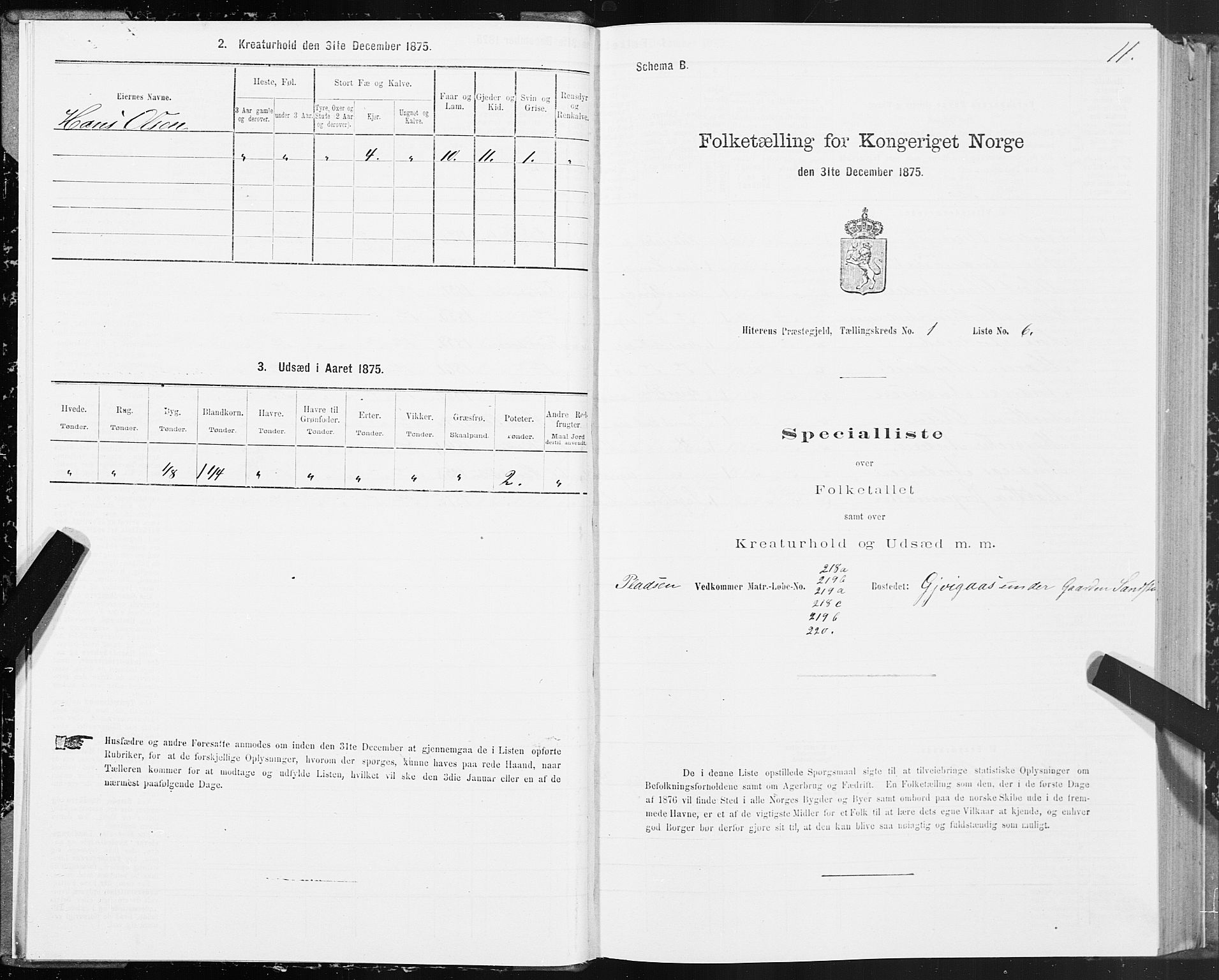 SAT, Folketelling 1875 for 1617P Hitra prestegjeld, 1875, s. 1011