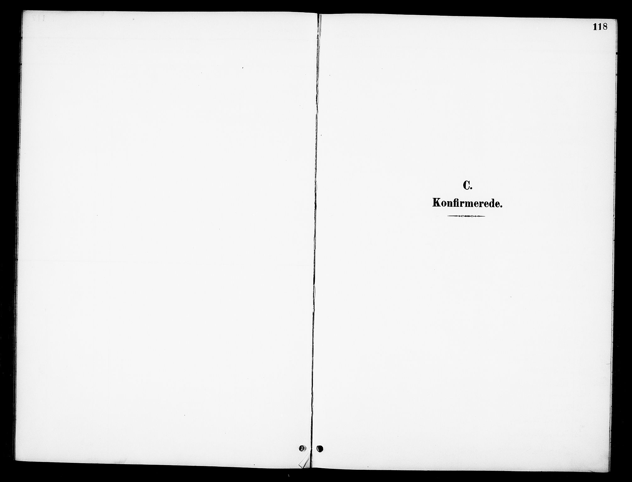 Stor-Elvdal prestekontor, SAH/PREST-052/H/Ha/Hab/L0003: Klokkerbok nr. 3, 1895-1917, s. 118