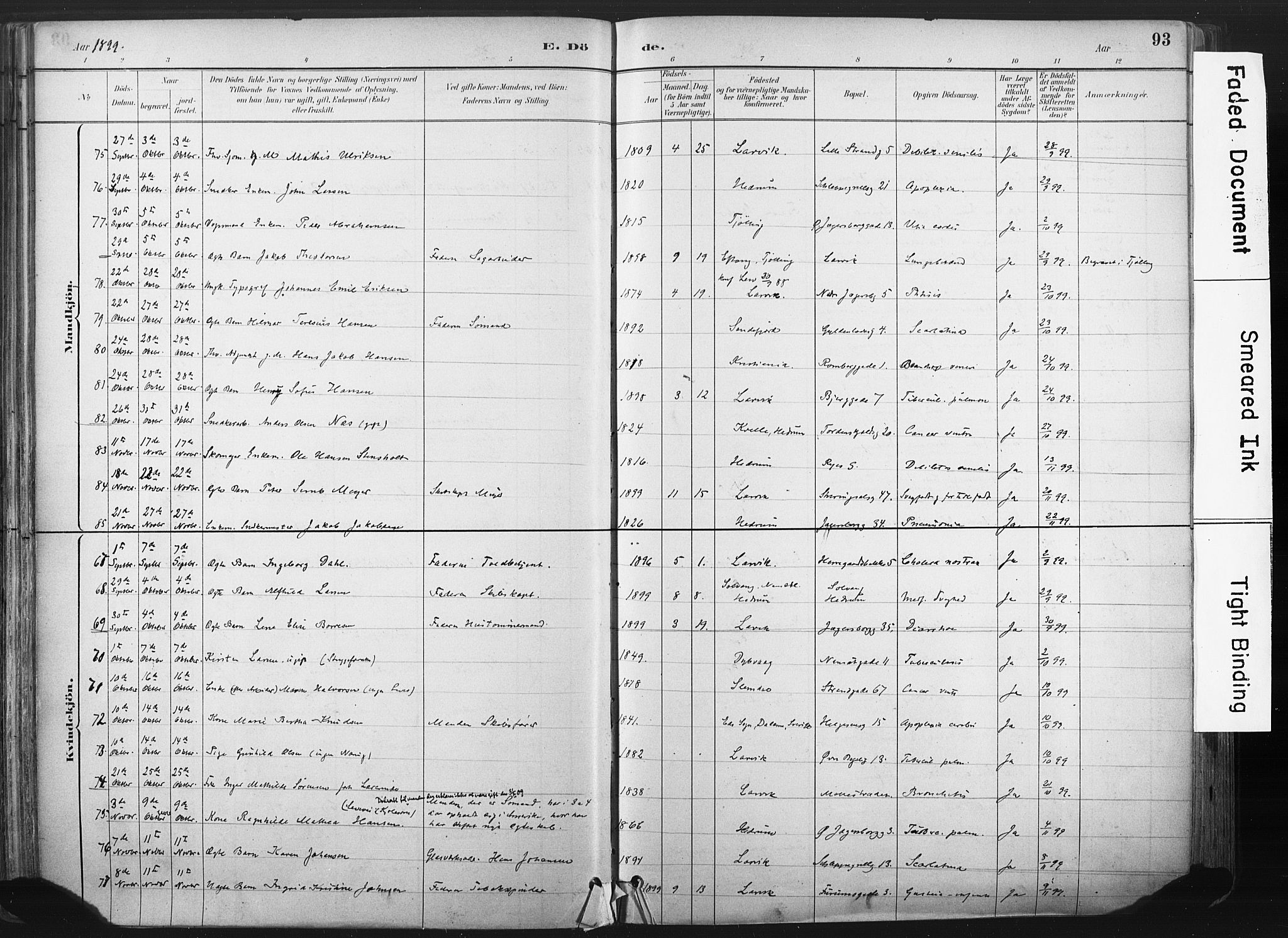 Larvik kirkebøker, AV/SAKO-A-352/F/Fa/L0010: Ministerialbok nr. I 10, 1884-1910, s. 93