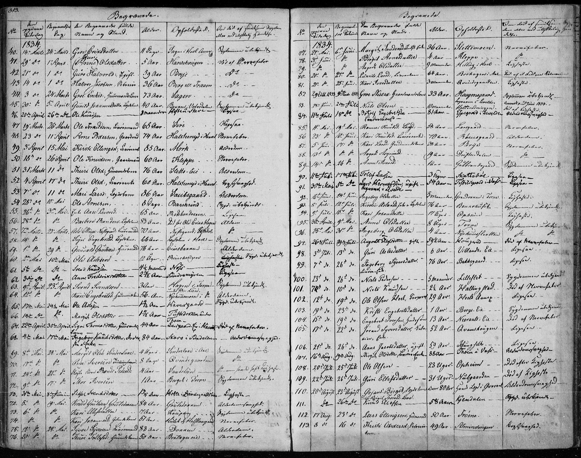 Ål kirkebøker, AV/SAKO-A-249/F/Fa/L0005: Ministerialbok nr. I 5, 1825-1848, s. 313