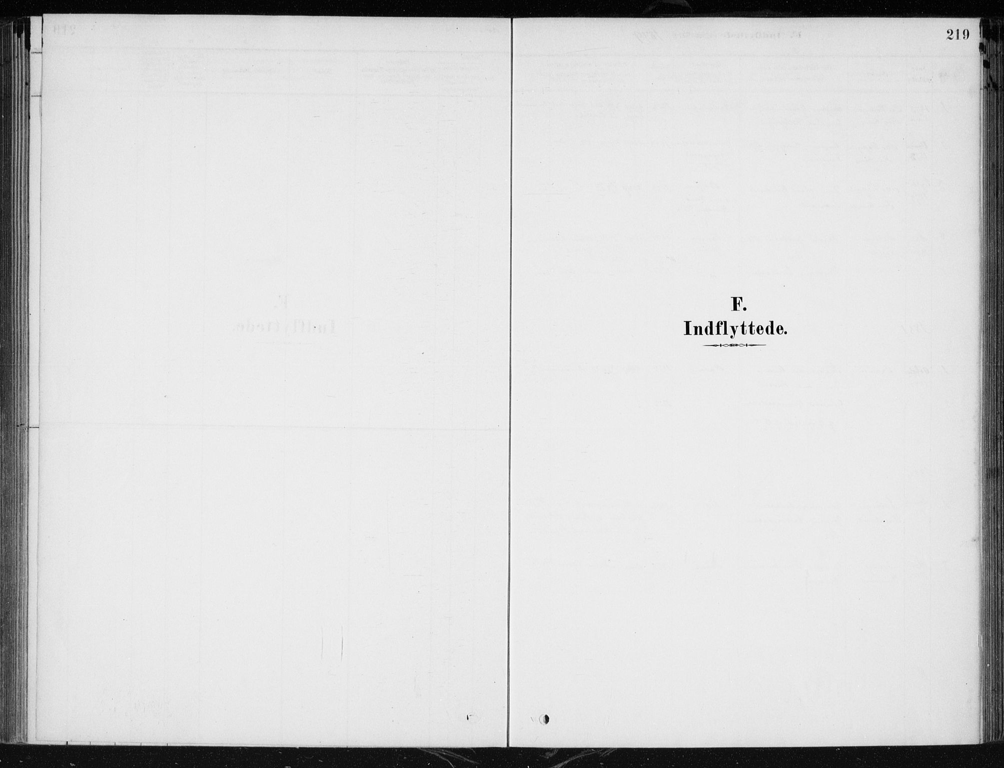 Krødsherad kirkebøker, AV/SAKO-A-19/F/Fa/L0005: Ministerialbok nr. 5, 1879-1888, s. 219