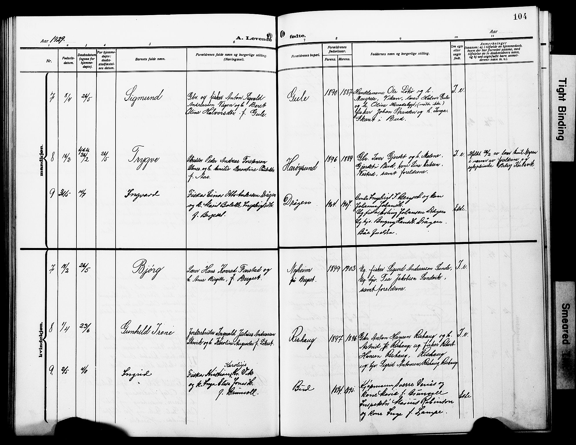 Ministerialprotokoller, klokkerbøker og fødselsregistre - Møre og Romsdal, AV/SAT-A-1454/566/L0774: Klokkerbok nr. 566C03, 1910-1929, s. 104