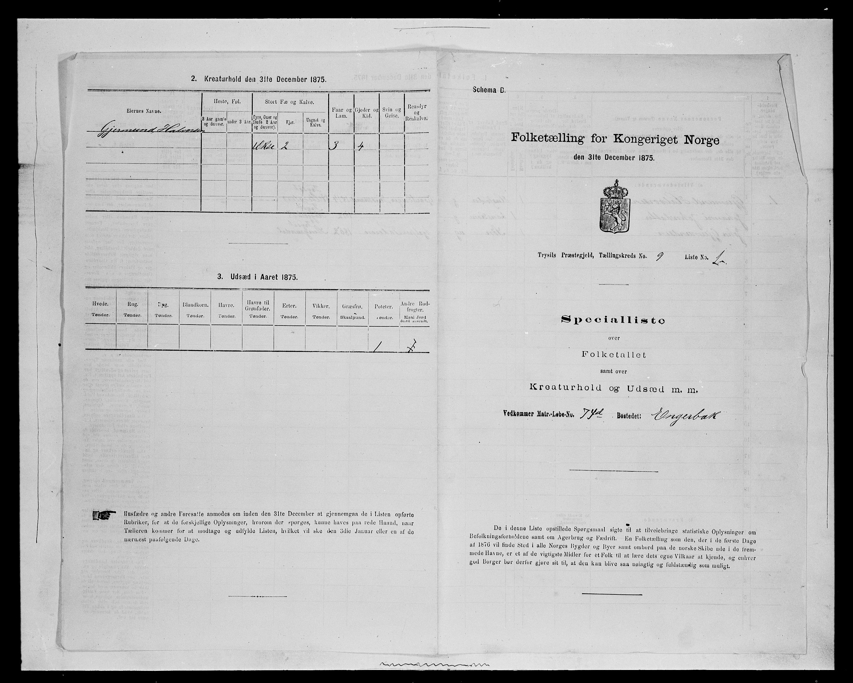 SAH, Folketelling 1875 for 0428P Trysil prestegjeld, 1875, s. 1077