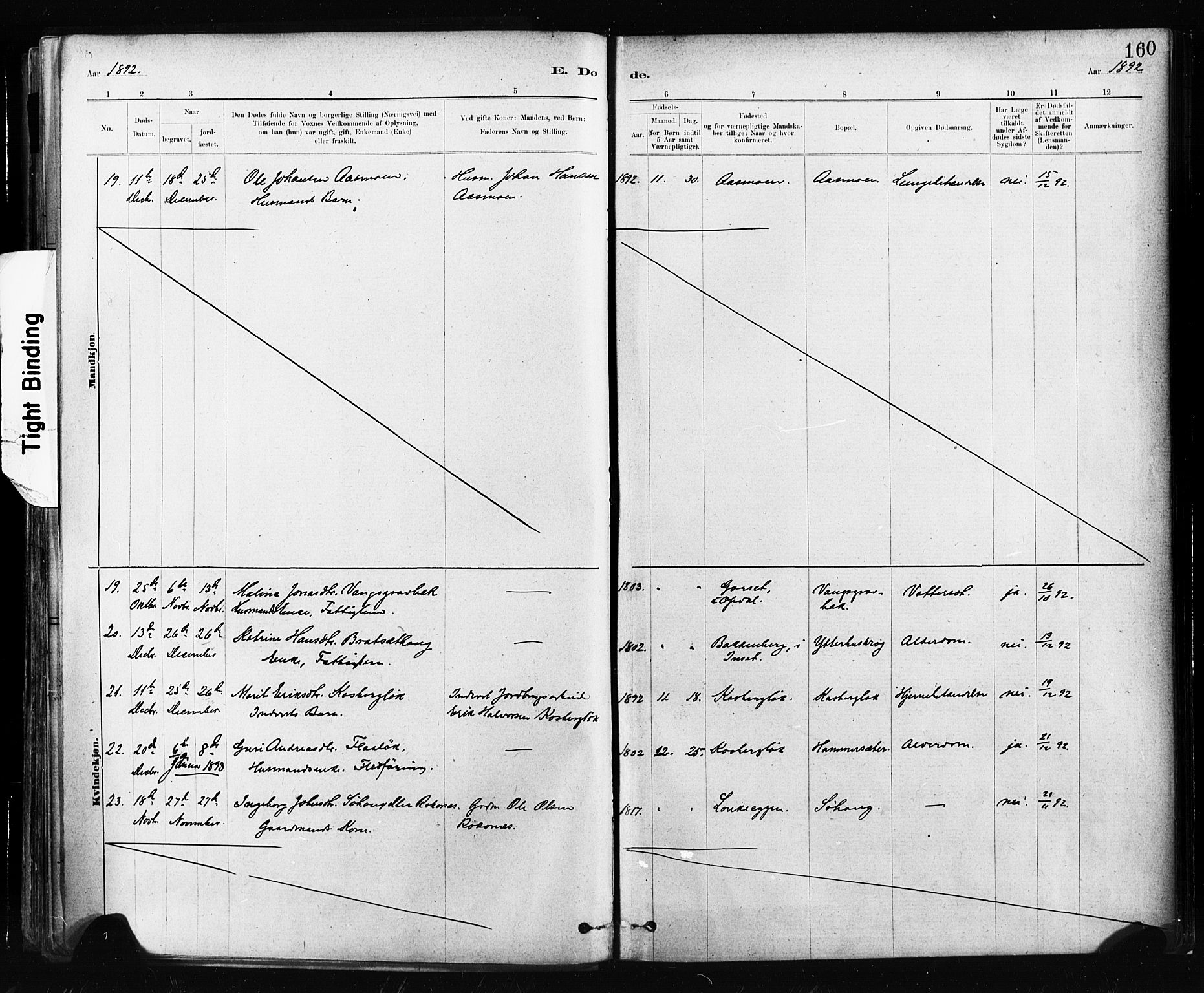 Ministerialprotokoller, klokkerbøker og fødselsregistre - Sør-Trøndelag, SAT/A-1456/674/L0871: Ministerialbok nr. 674A03, 1880-1896, s. 160