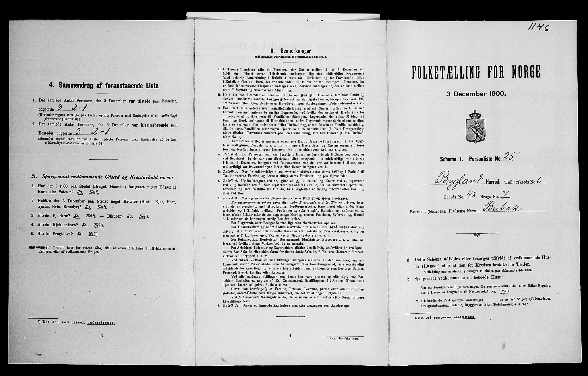 SAK, Folketelling 1900 for 0938 Bygland herred, 1900, s. 463