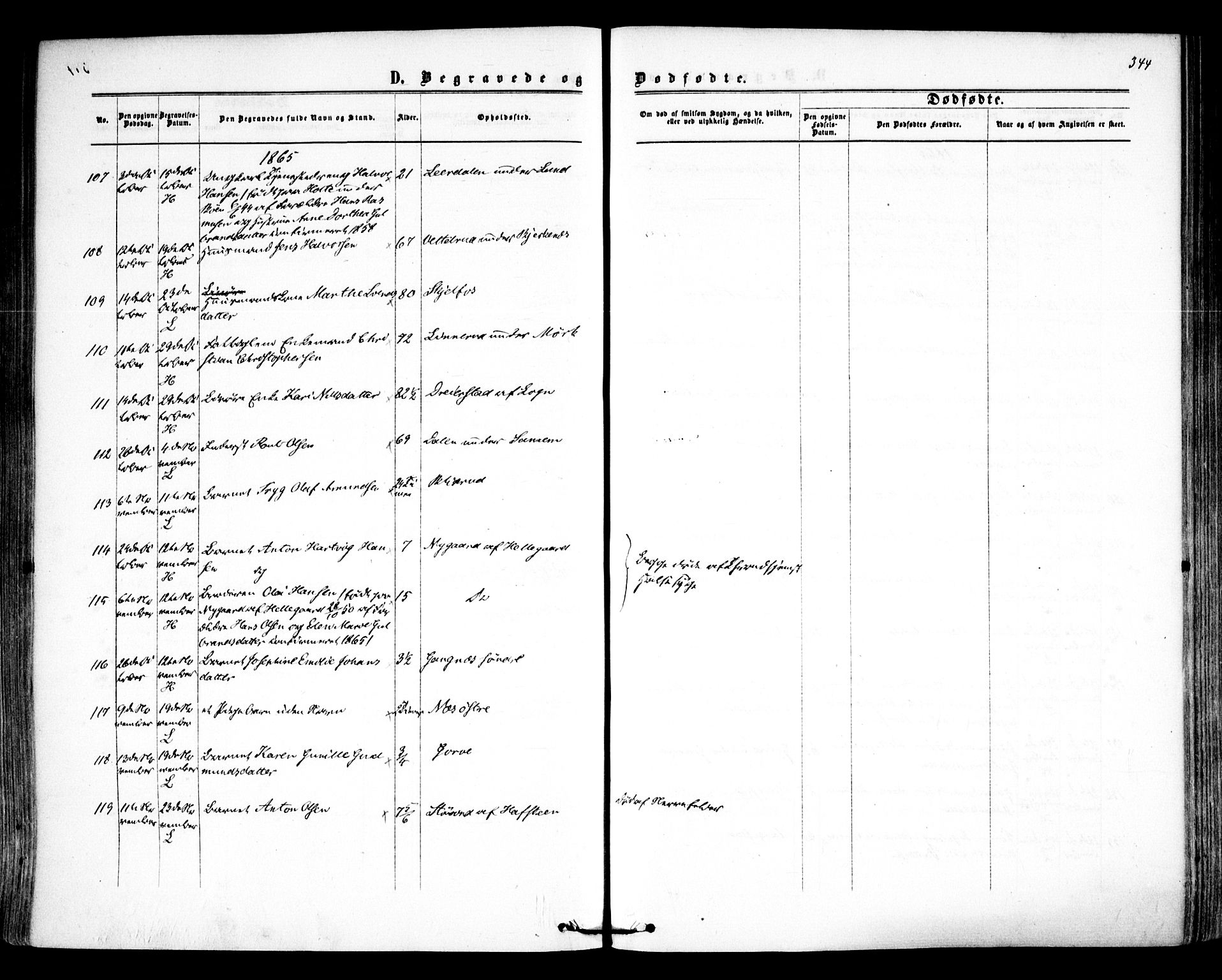 Høland prestekontor Kirkebøker, AV/SAO-A-10346a/F/Fa/L0011: Ministerialbok nr. I 11, 1862-1869, s. 344