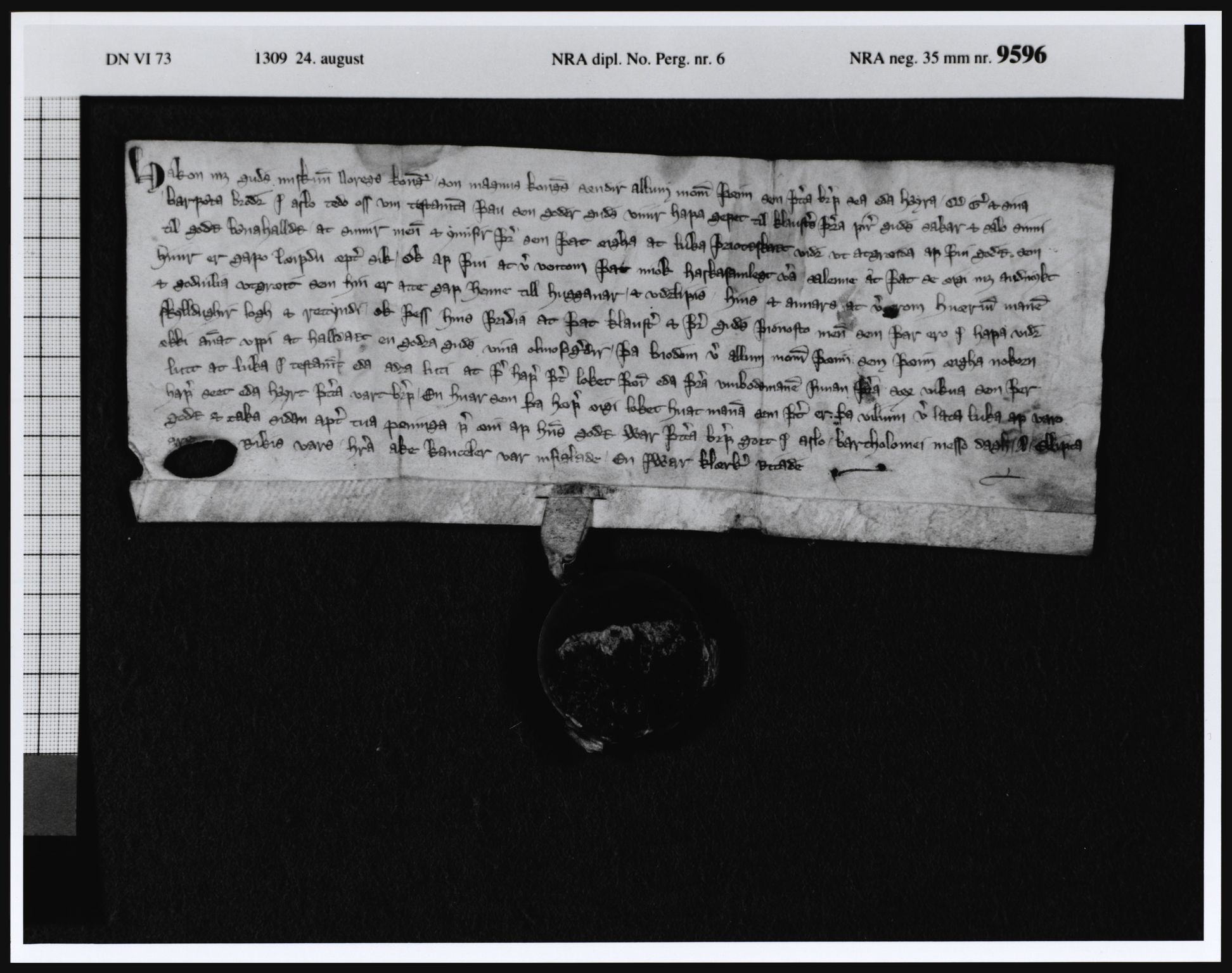 Riksarkivets diplomsamling, AV/RA-EA-5965/F08, 1224-1564, s. 19