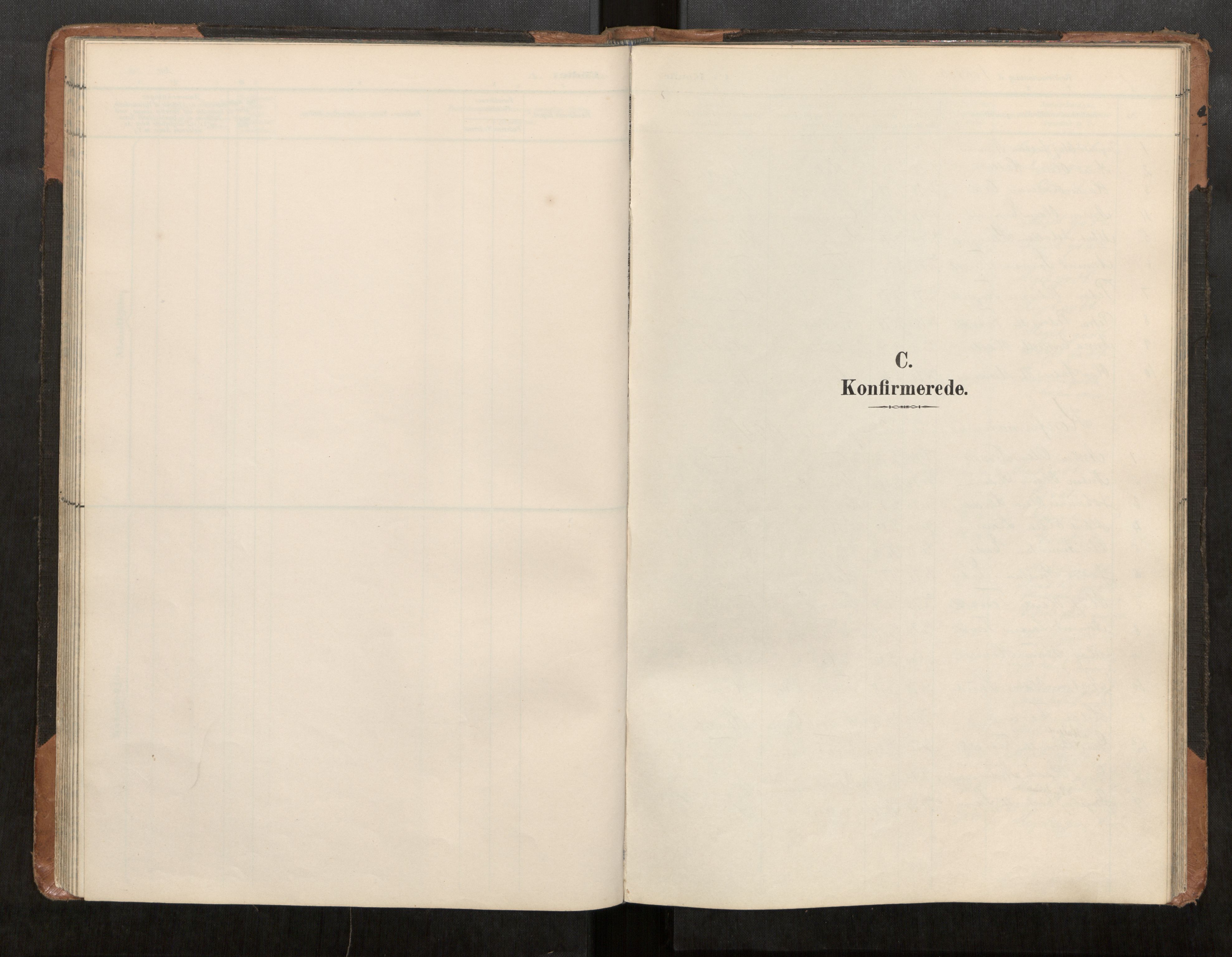 Ministerialprotokoller, klokkerbøker og fødselsregistre - Møre og Romsdal, AV/SAT-A-1454/542/L0561: Klokkerbok nr. 542C03, 1893-1931