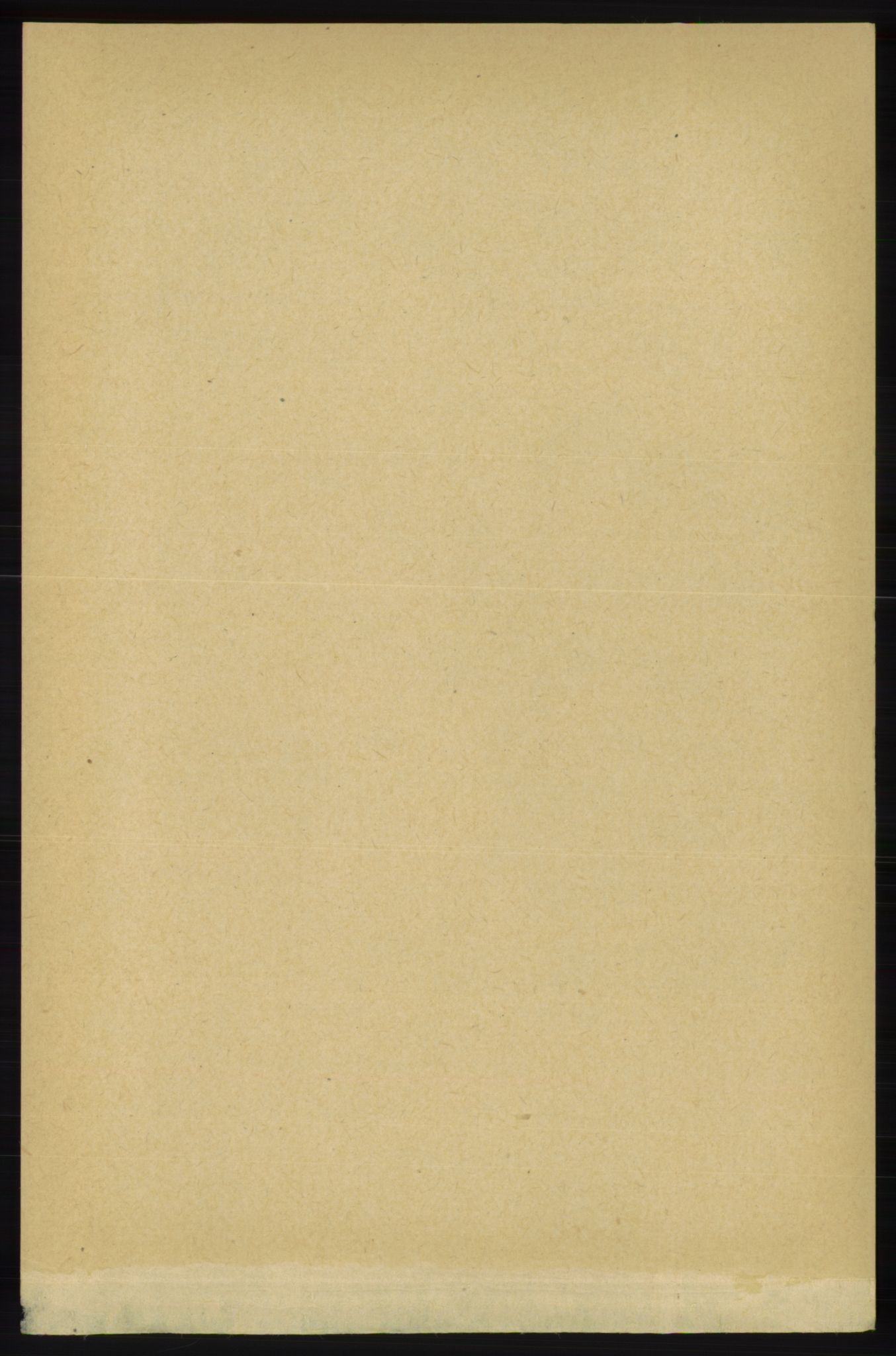RA, Folketelling 1891 for 1132 Fister herred, 1891, s. 521