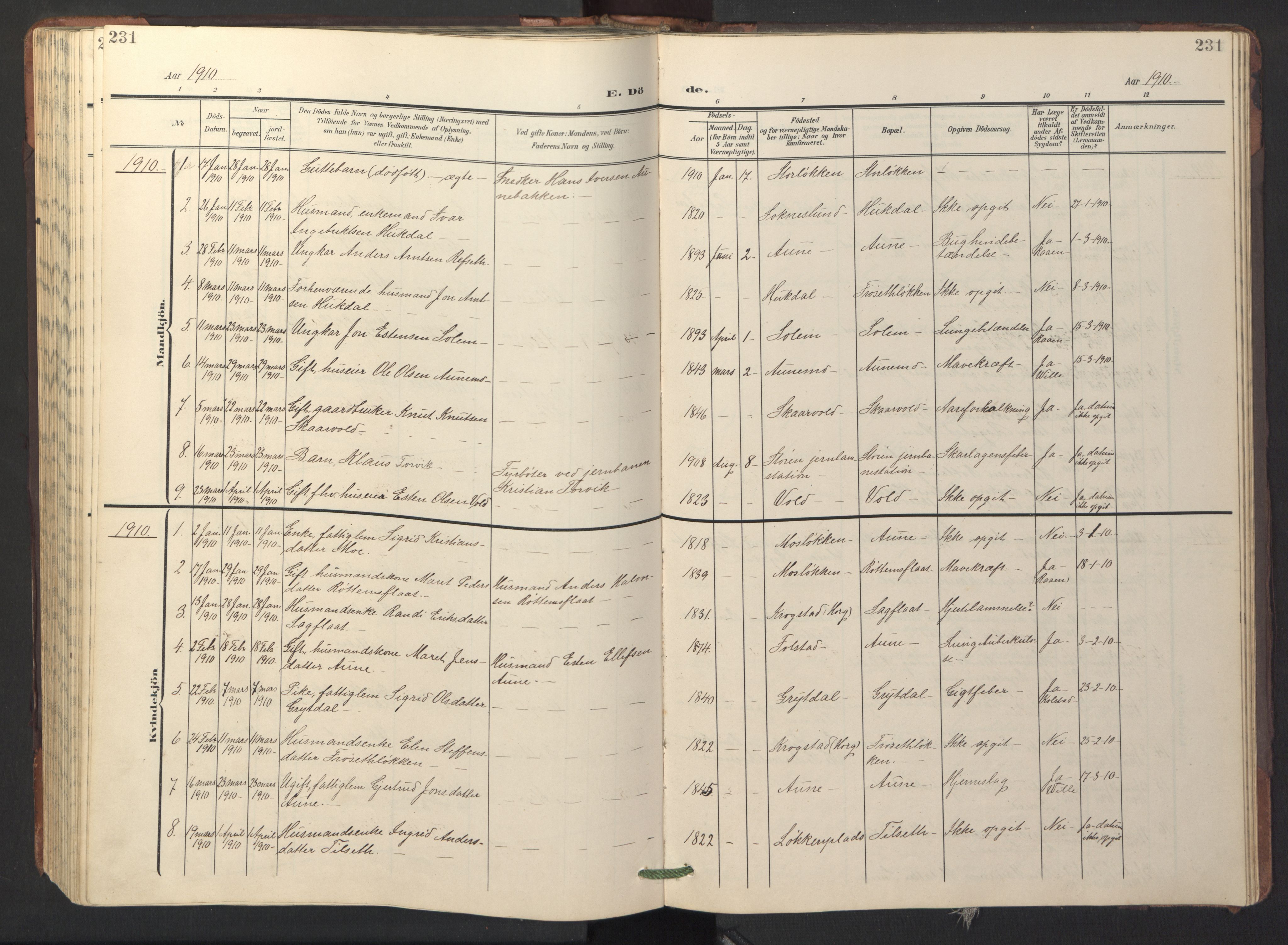 Ministerialprotokoller, klokkerbøker og fødselsregistre - Sør-Trøndelag, AV/SAT-A-1456/687/L1019: Klokkerbok nr. 687C03, 1904-1931, s. 231