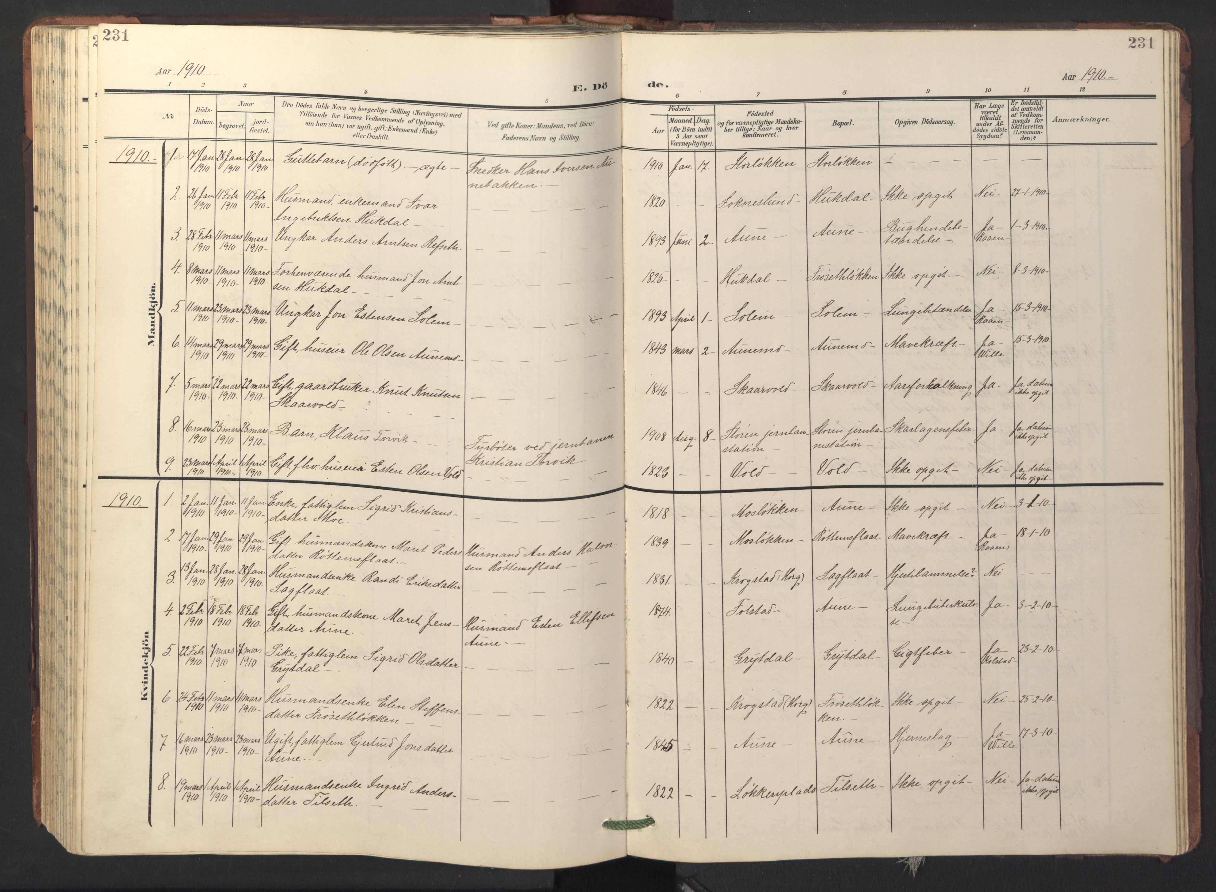 Ministerialprotokoller, klokkerbøker og fødselsregistre - Sør-Trøndelag, SAT/A-1456/687/L1019: Klokkerbok nr. 687C03, 1904-1931, s. 231