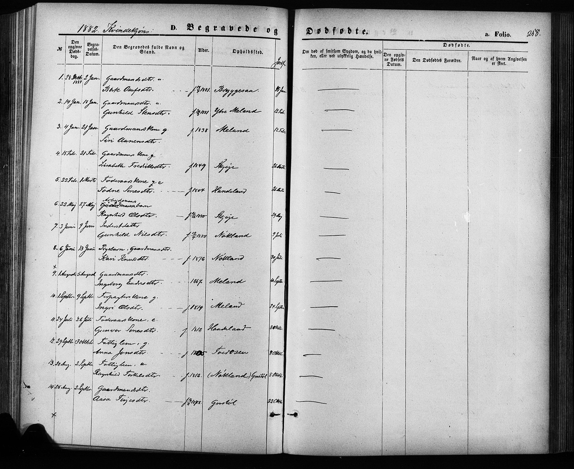 Hægebostad sokneprestkontor, SAK/1111-0024/F/Fa/Fab/L0003: Ministerialbok nr. A 3, 1872-1886, s. 258