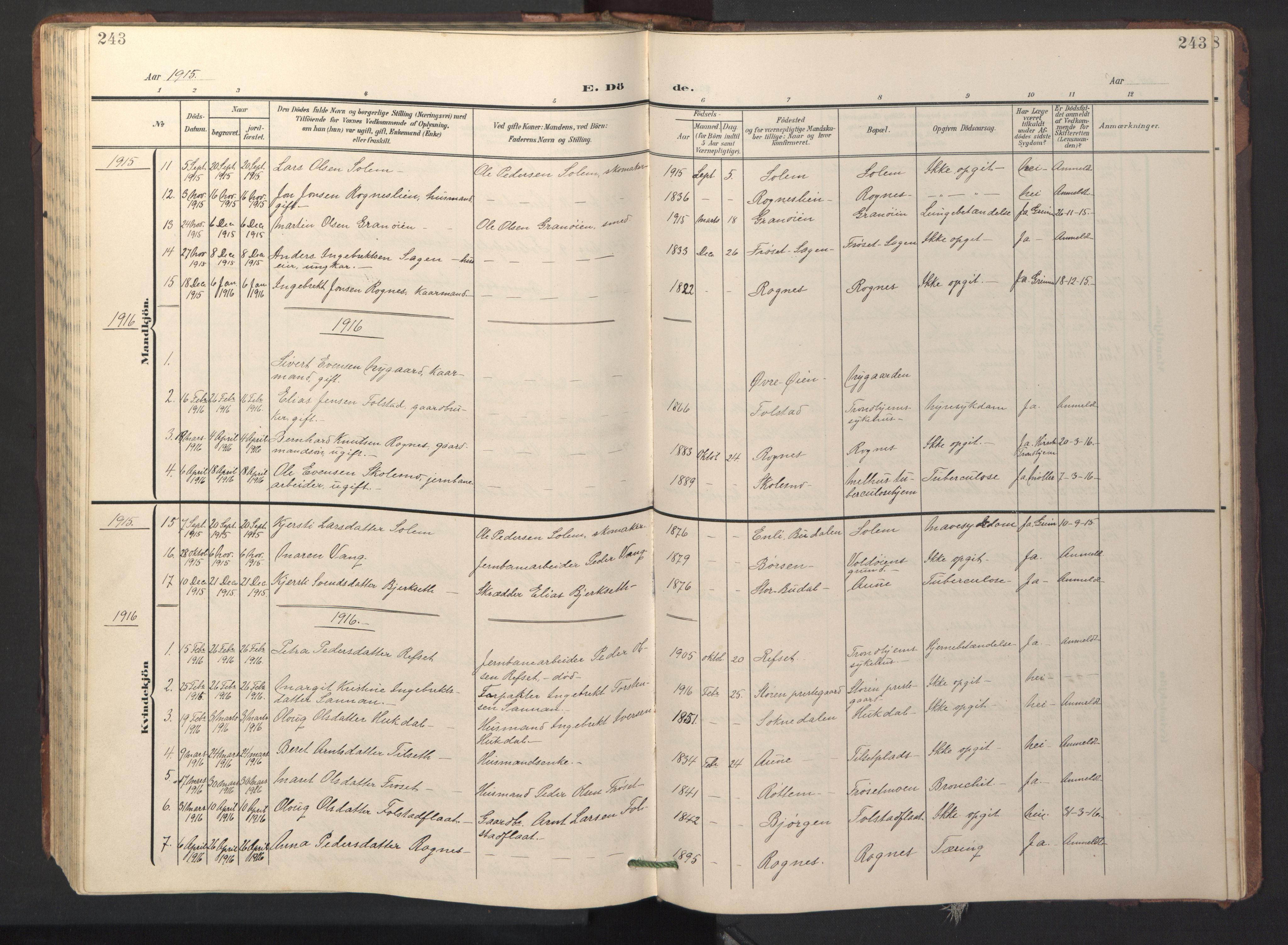 Ministerialprotokoller, klokkerbøker og fødselsregistre - Sør-Trøndelag, AV/SAT-A-1456/687/L1019: Klokkerbok nr. 687C03, 1904-1931, s. 243
