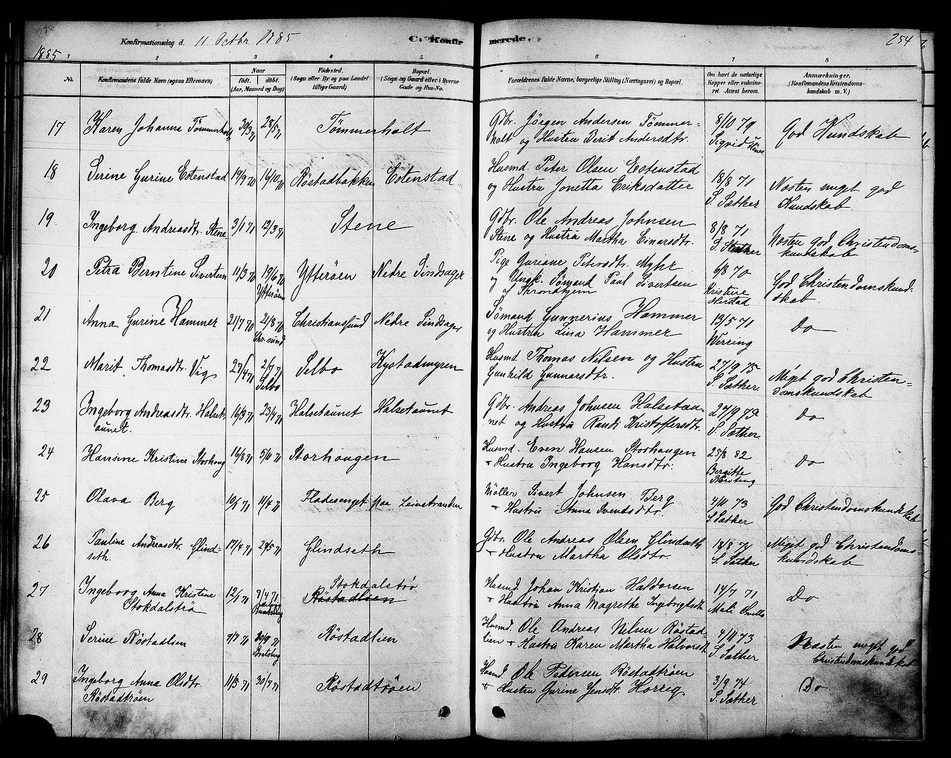 Ministerialprotokoller, klokkerbøker og fødselsregistre - Sør-Trøndelag, SAT/A-1456/606/L0294: Ministerialbok nr. 606A09, 1878-1886, s. 254