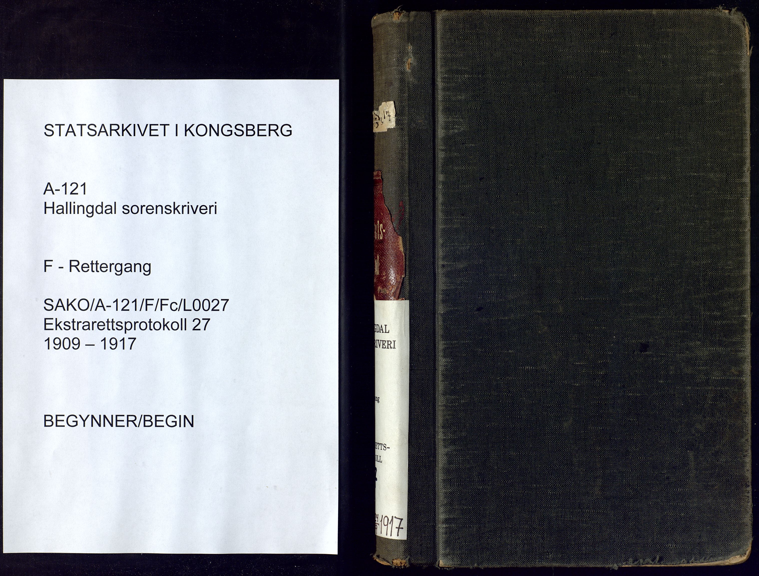 Hallingdal sorenskriveri, AV/SAKO-A-121/F/Fc/L0027: Ekstrarettsprotokoll, 1909-1917