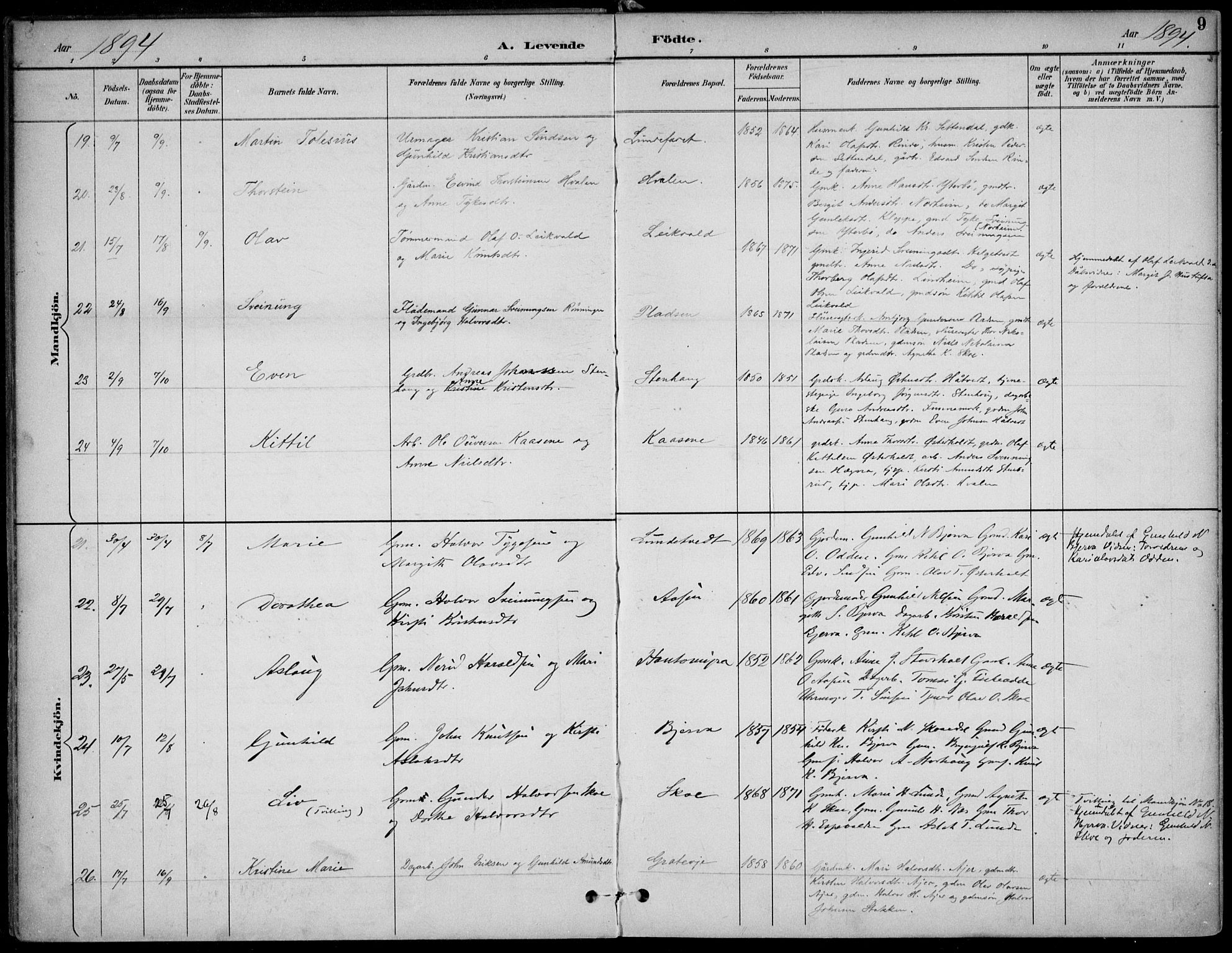 Lunde kirkebøker, AV/SAKO-A-282/F/Fa/L0003: Ministerialbok nr. I 3, 1893-1902, s. 9