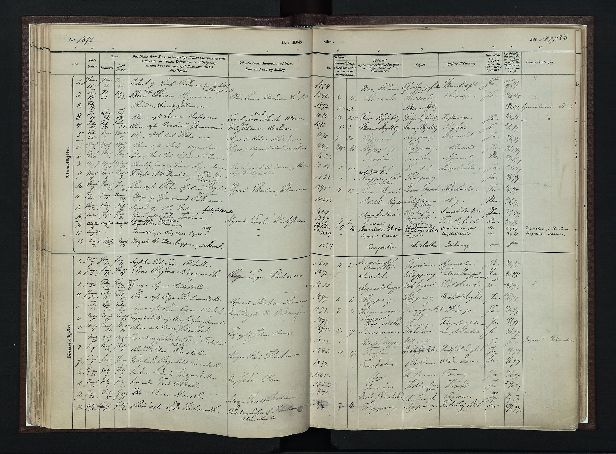 Stor-Elvdal prestekontor, AV/SAH-PREST-052/H/Ha/Haa/L0003: Ministerialbok nr. 3, 1882-1901, s. 75