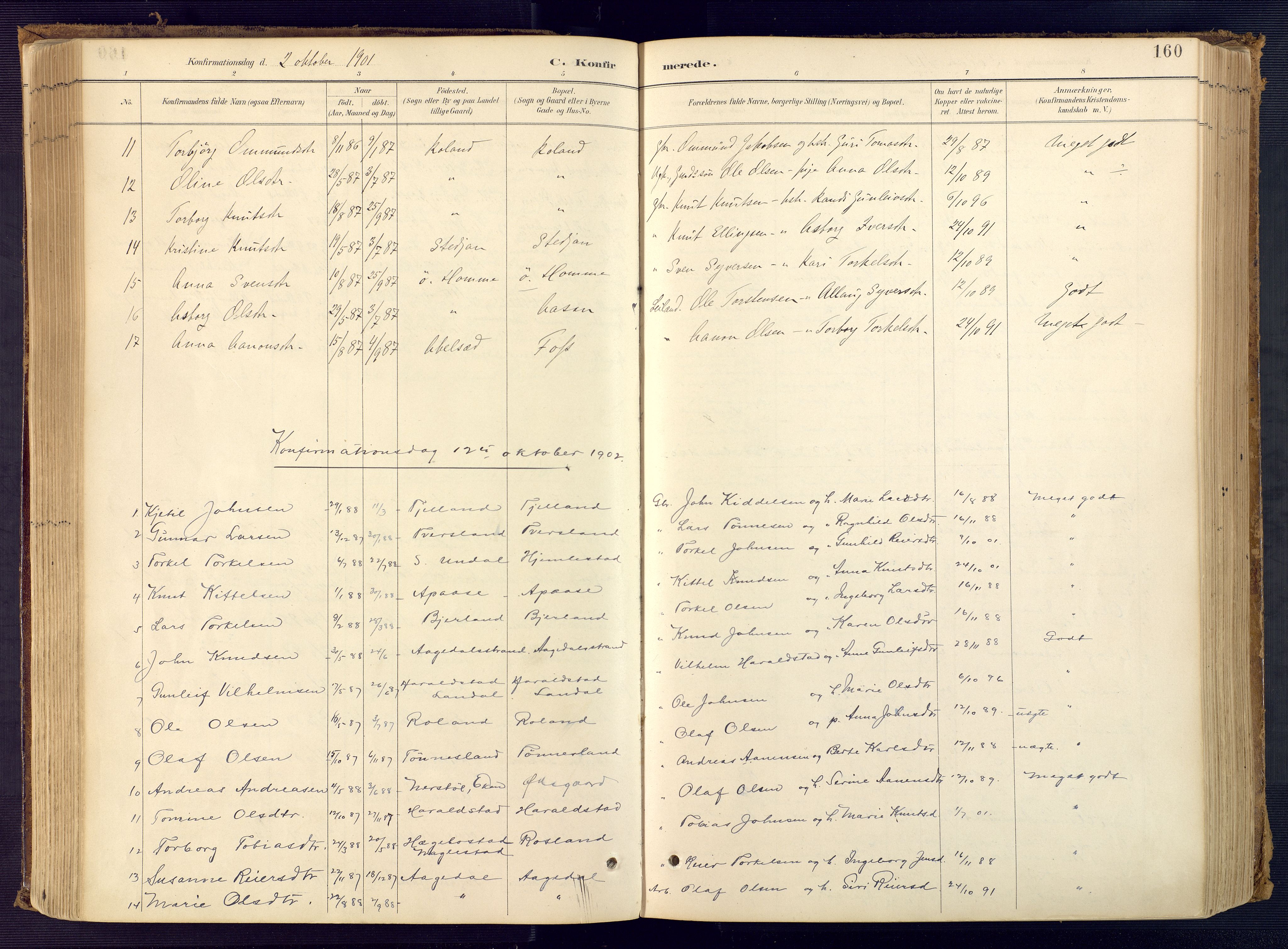 Bjelland sokneprestkontor, SAK/1111-0005/F/Fa/Faa/L0004: Ministerialbok nr. A 4, 1887-1923, s. 160