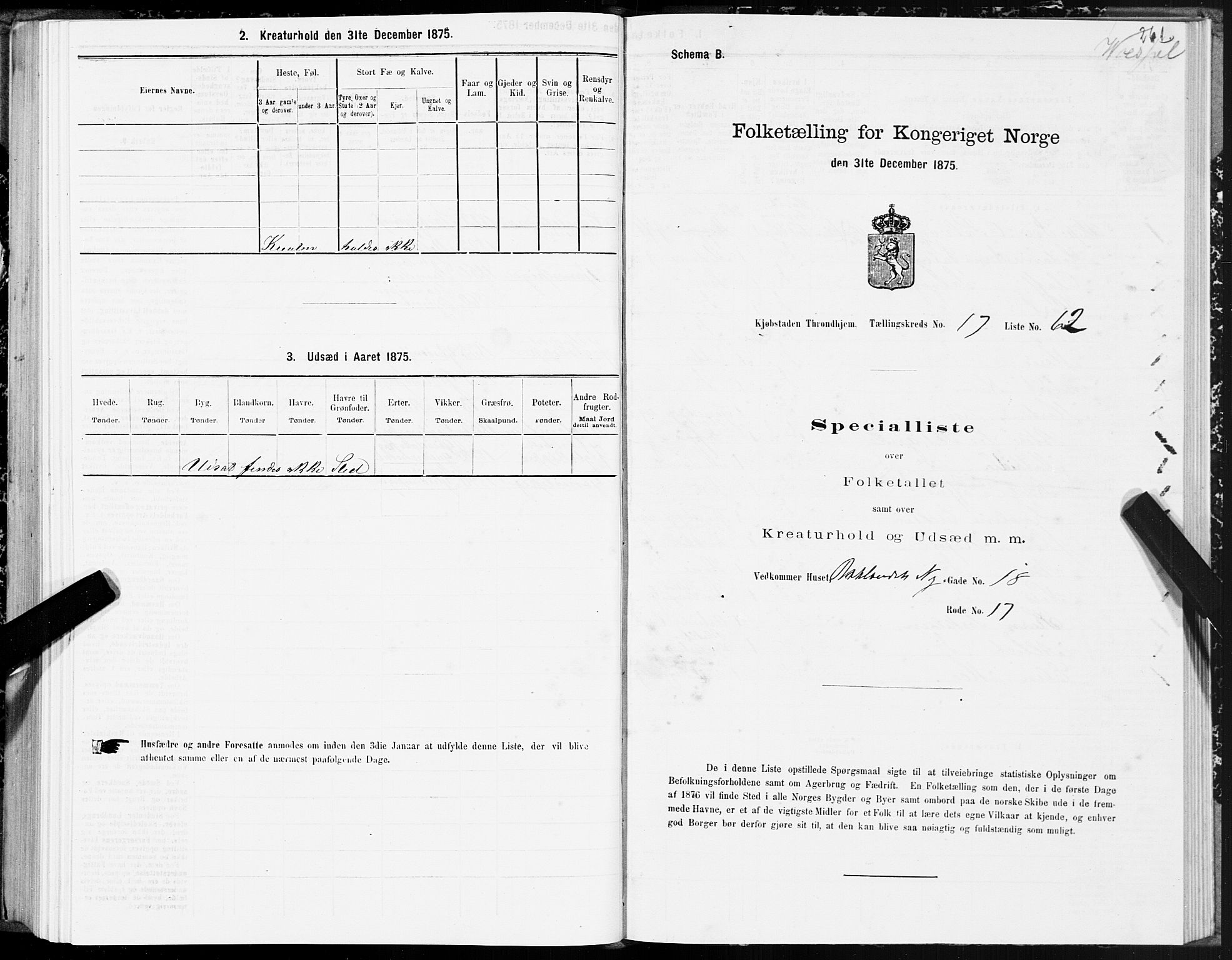 SAT, Folketelling 1875 for 1601 Trondheim kjøpstad, 1875, s. 9261