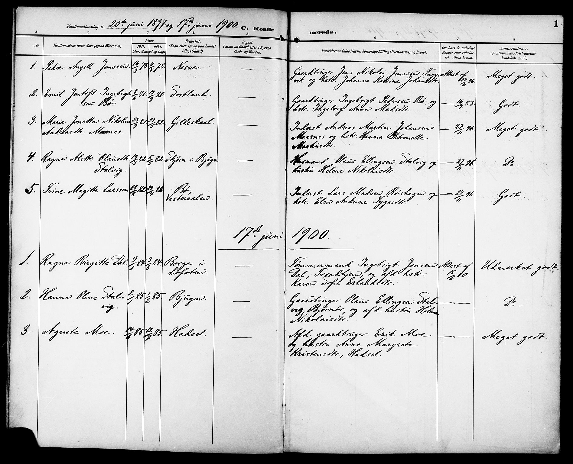 Ministerialprotokoller, klokkerbøker og fødselsregistre - Sør-Trøndelag, AV/SAT-A-1456/629/L0486: Ministerialbok nr. 629A02, 1894-1919, s. 1