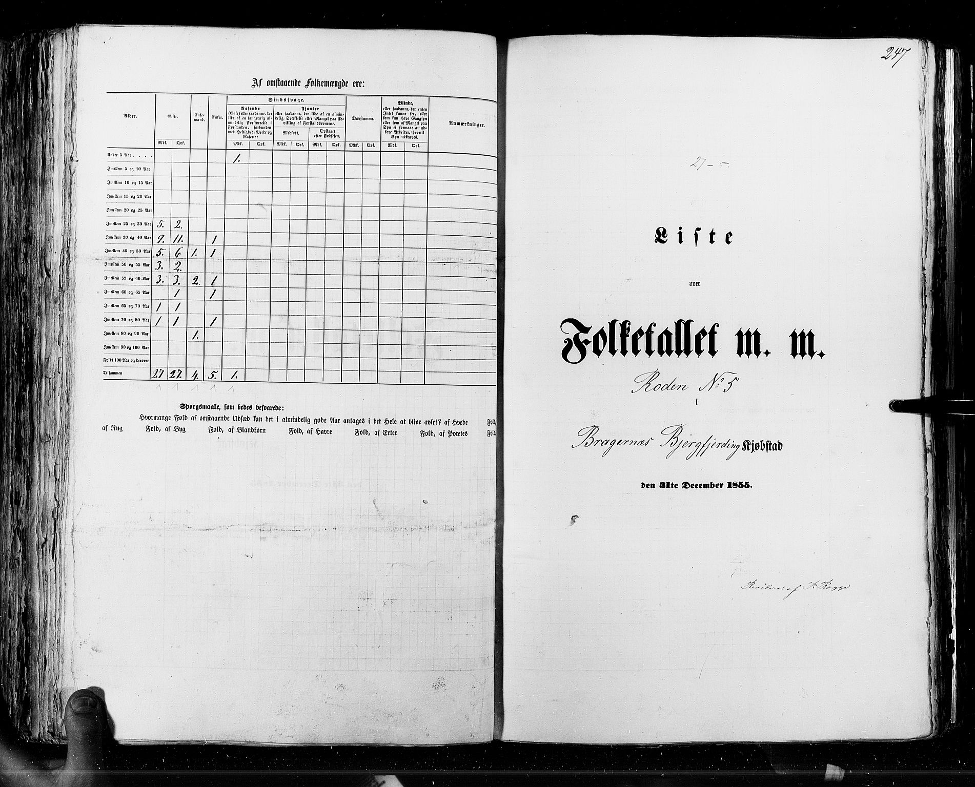 RA, Folketellingen 1855, bind 7: Kjøpsteder og ladesteder: Fredrikshald-Kragerø, 1855, s. 247