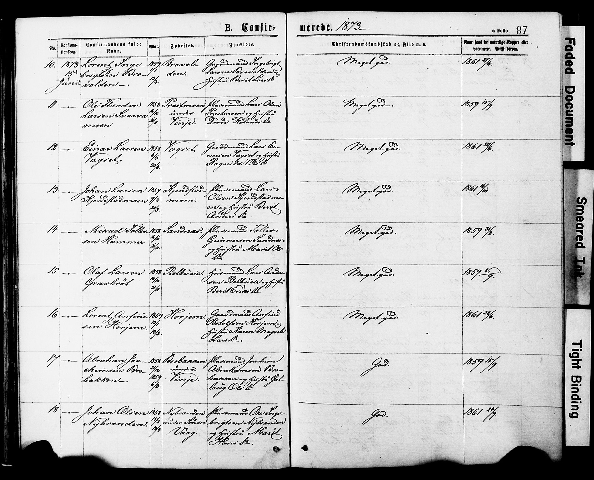 Ministerialprotokoller, klokkerbøker og fødselsregistre - Nord-Trøndelag, SAT/A-1458/749/L0473: Ministerialbok nr. 749A07, 1873-1887, s. 87