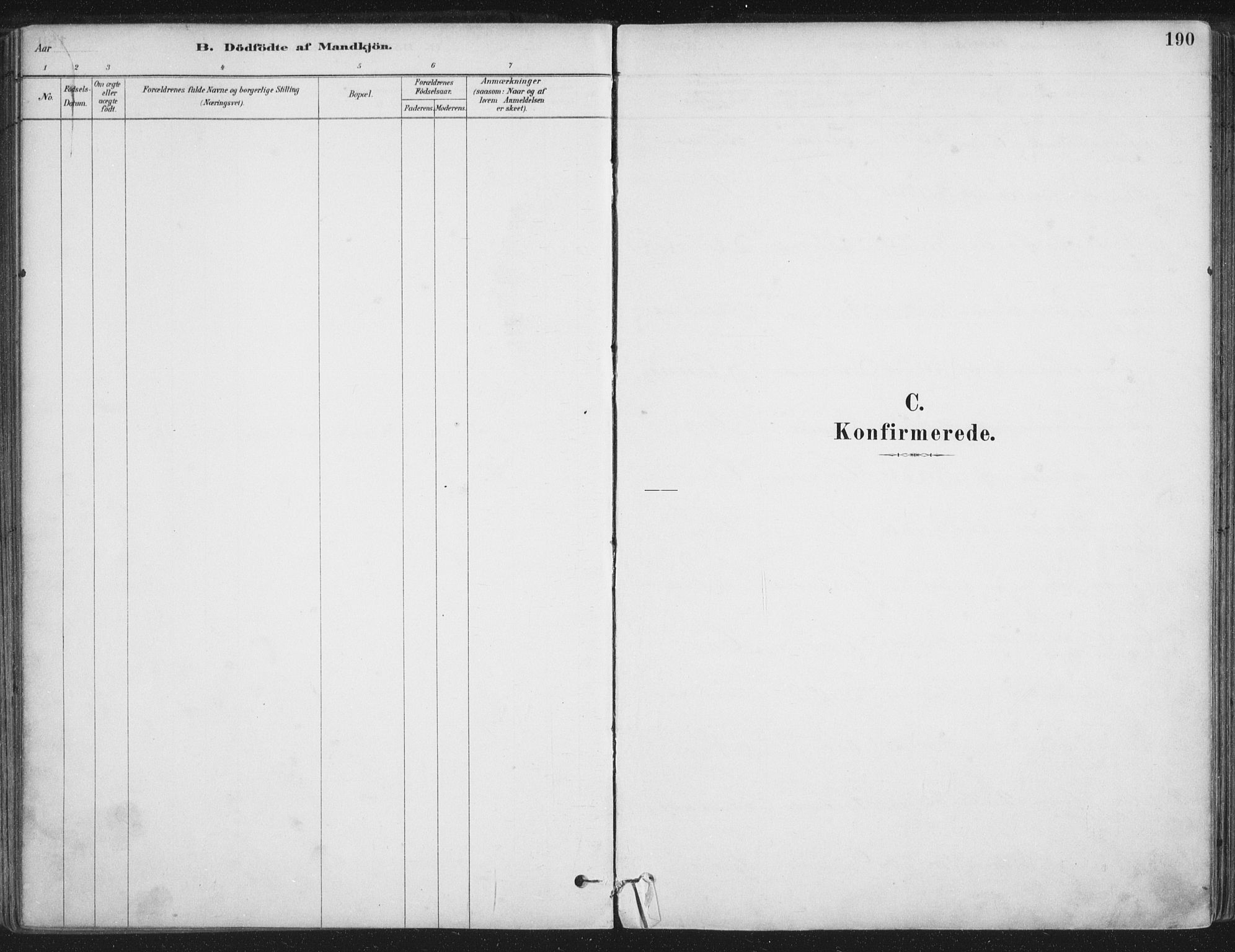 Ministerialprotokoller, klokkerbøker og fødselsregistre - Nordland, AV/SAT-A-1459/888/L1244: Ministerialbok nr. 888A10, 1880-1890, s. 190