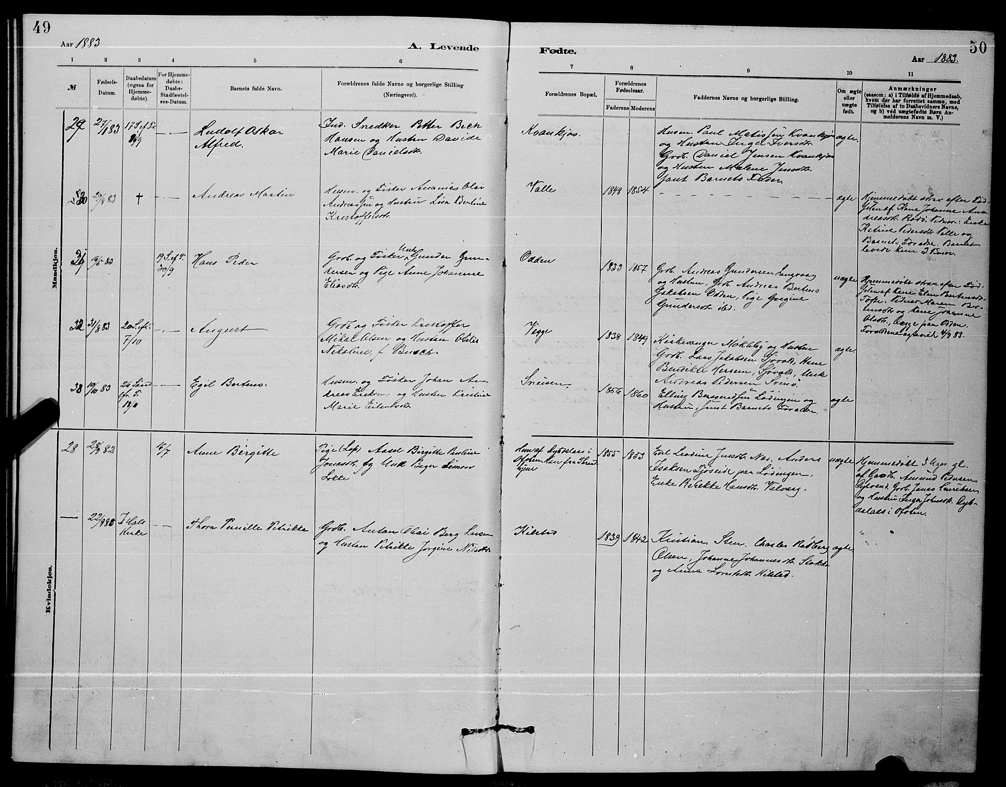 Ministerialprotokoller, klokkerbøker og fødselsregistre - Nordland, AV/SAT-A-1459/872/L1047: Klokkerbok nr. 872C03, 1880-1897, s. 49-50