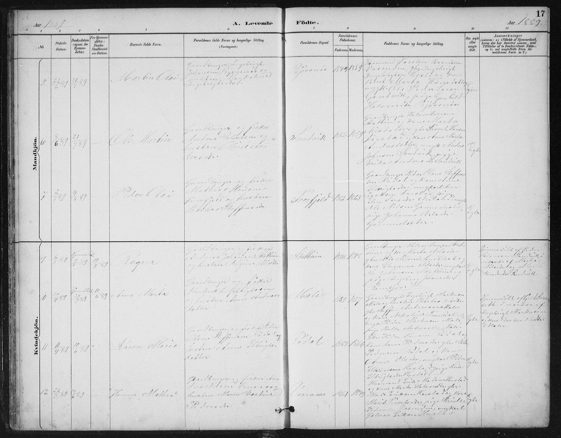 Ministerialprotokoller, klokkerbøker og fødselsregistre - Møre og Romsdal, SAT/A-1454/567/L0783: Klokkerbok nr. 567C03, 1887-1903, s. 17