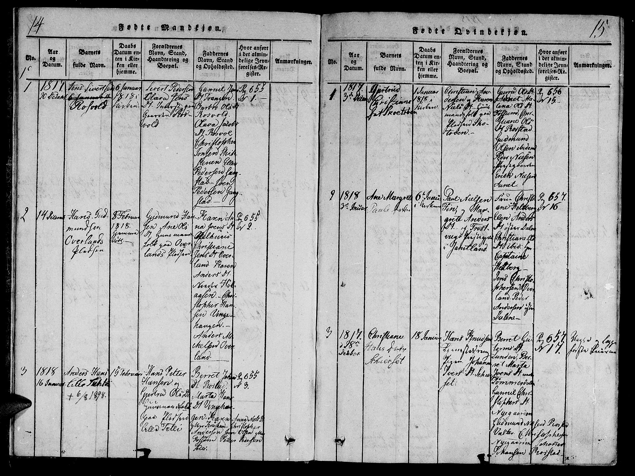 Ministerialprotokoller, klokkerbøker og fødselsregistre - Nord-Trøndelag, AV/SAT-A-1458/701/L0005: Ministerialbok nr. 701A05 /1, 1816-1825, s. 14-15